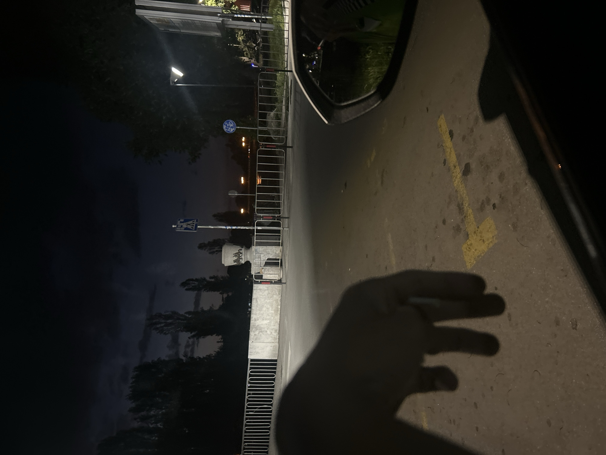 The image shows a nighttime scene with a shadow of a hand in the foreground on an asphalt surface marked with yellow lines. A car side mirror is visible in the top right corner. In the background, there's a street with pedestrian railings, streetlights, trees, and traffic signs. Further in the distance, a monument or statue stands. The location is Unknown, Unknown.