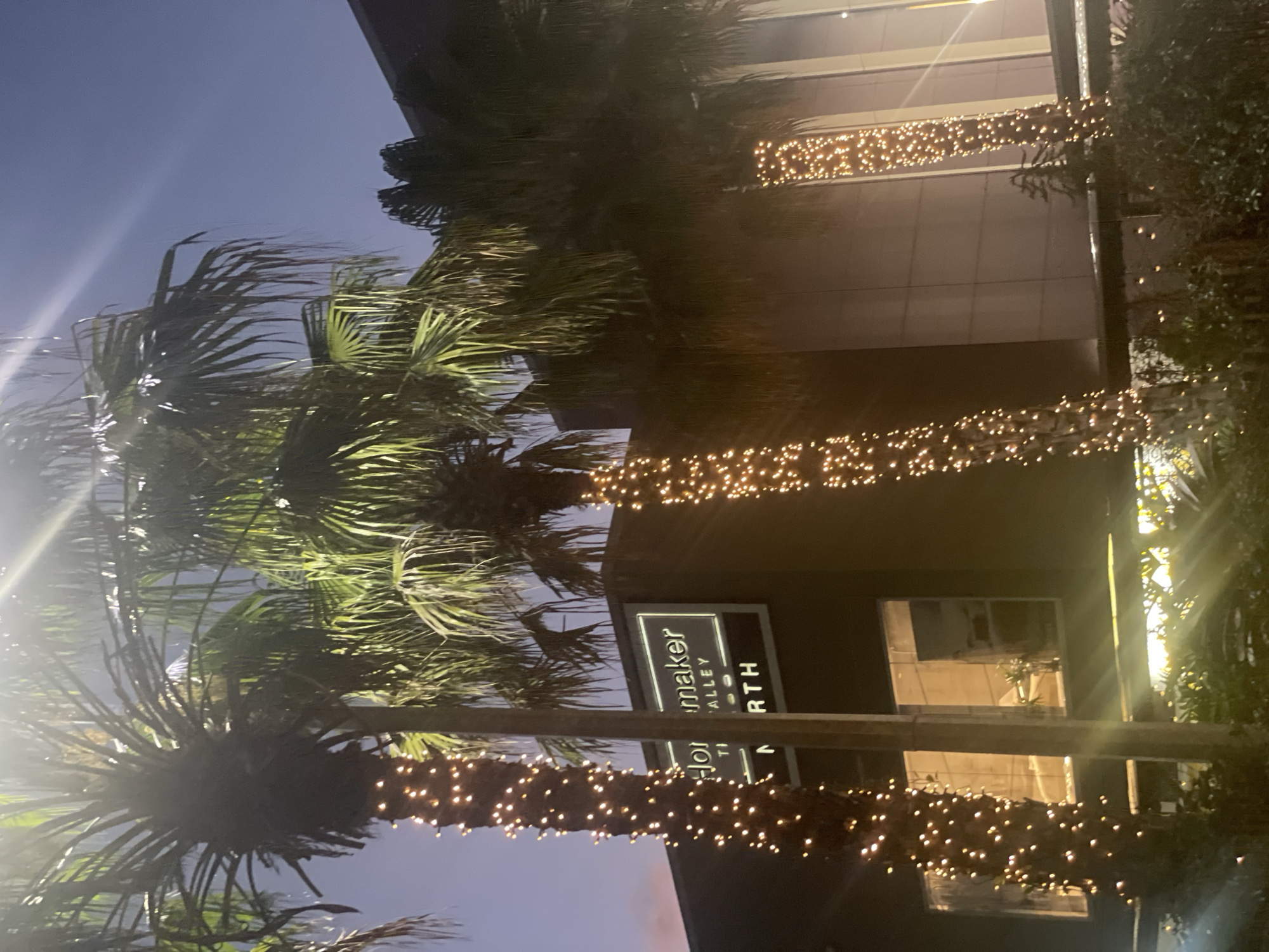This image depicts palm trees wrapped in string lights in front of a building. A sign on the building reads "Homemaker The Valley North". The scene is illuminated by a mix of ambient light and the string lights, creating a festive atmosphere. The sky is dark blue, indicating it is likely evening or night. The overall setting suggests an urban environment, possibly a commercial or entertainment district, given the presence of a sign and modern building architecture. The location is specifically identified as The Valley, Brisbane, Australia.
