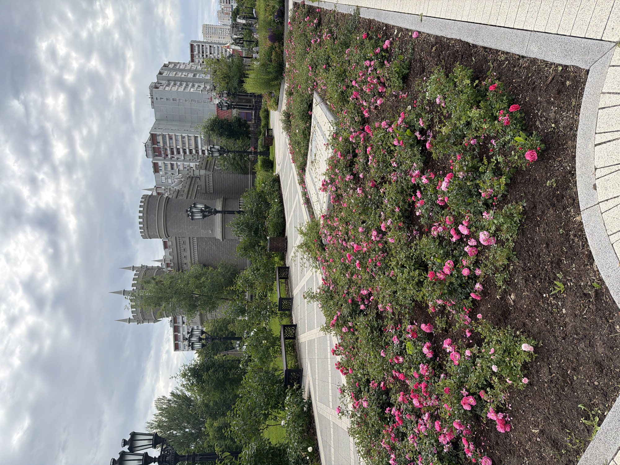 This is a vertical, outdoor, full-shot photograph of a park-like setting with a cityscape in the background. The foreground is dominated by a large flowerbed filled with numerous pink roses in full bloom. The roses are dense and cover the entire flowerbed, with some showing signs of wilting.
A paved walkway runs alongside the flowerbed, featuring a geometric pattern of light and dark grey tiles. Benches with decorative metal backs are visible along the walkway, suggesting a place for public relaxation. To the left of the walkway, a well-maintained green lawn is partially visible, with trees and lampposts interspersed.
In the mid-ground and background, there are elements of architecture. A building with a castellated or turreted design, reminiscent of a castle, stands to the left. It appears to be made of grey stone and has decorative elements. Behind this structure, several tall, multi-story apartment buildings rise into the sky. These buildings are light-colored and have a utilitarian, modern architectural style, common in urban environments.
The sky is overcast with a thick layer of grey clouds, indicating a cloudy day. The overall lighting is soft and diffused, without harsh shadows. The time of day is likely daytime, given the visibility of the scene.
The photograph evokes a sense of urban beauty, where manicured nature, represented by the roses and greenery, contrasts with the surrounding cityscape. There is a feeling of tranquility, despite the presence of the city. No people are visible in the photograph. No text is discernible. The location is suggested to be Moscow, Russia.