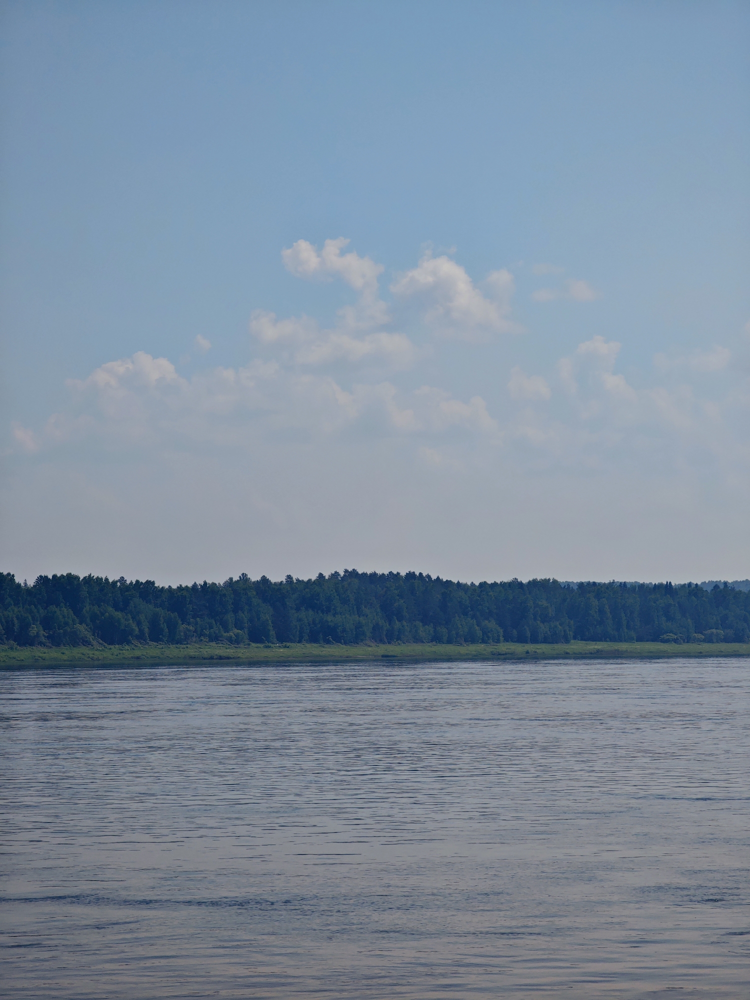 The image depicts a wide river flowing in front of a densely wooded forest that stretches horizontally across the frame. The sky above is a pale blue, dotted with scattered white clouds. The water's surface is rippled, reflecting the light and creating a textured appearance. The forest appears lush and green, suggesting a temperate season. The scene is tranquil and natural, with no human presence or structures visible. This landscape is consistent with the natural environment found near Pogodaevo, Russia, where such large rivers and forested areas are common.