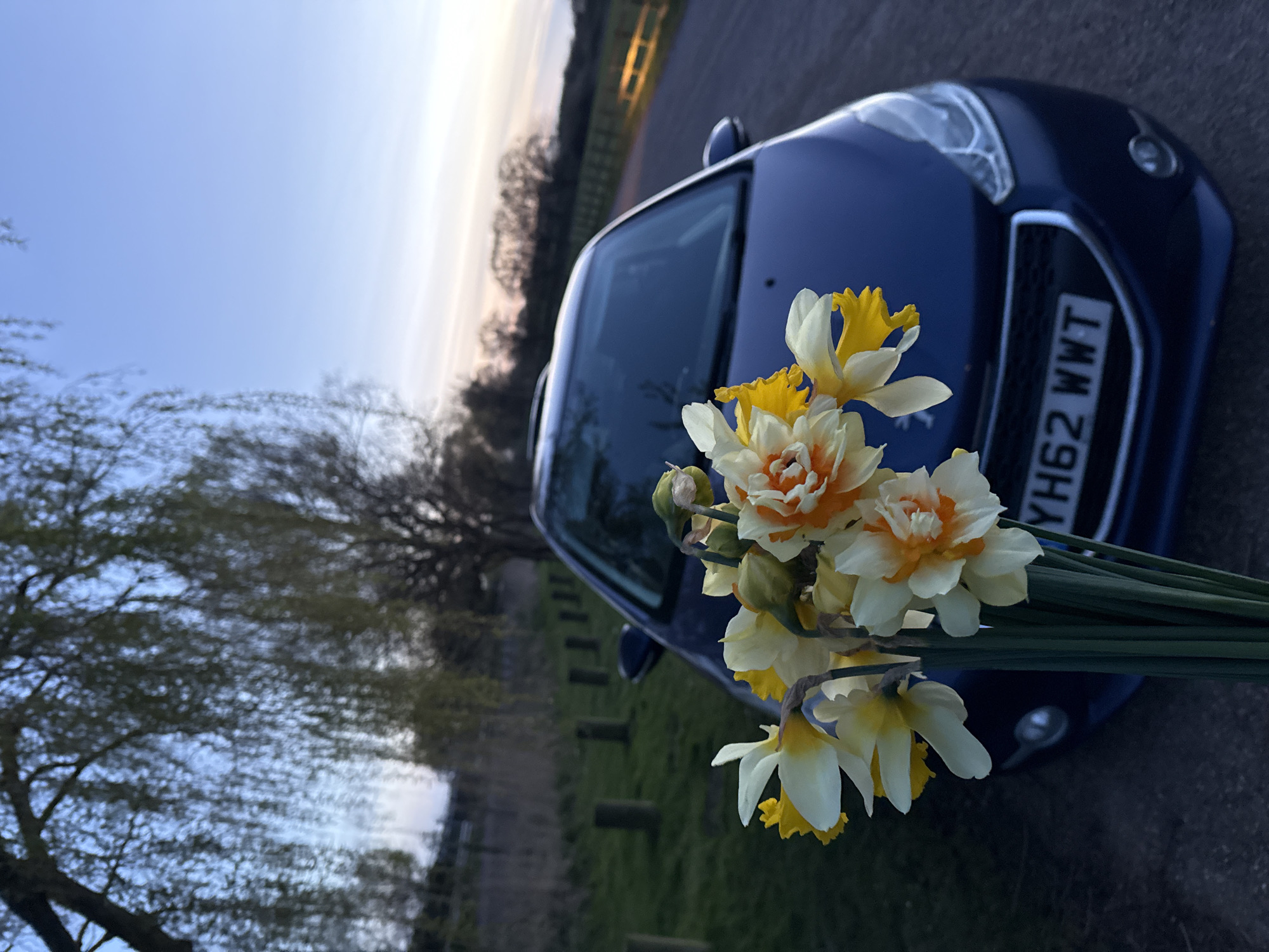 A still life photo shows a bouquet of daffodils in the foreground. Behind the flowers is a blue car, with a registration plate clearly showing “YH62 WWT”. The environment appears to be an outdoor area with grass and a tree. The sky is visible in the upper portion of the frame. The location is Great Yarmouth, United Kingdom.