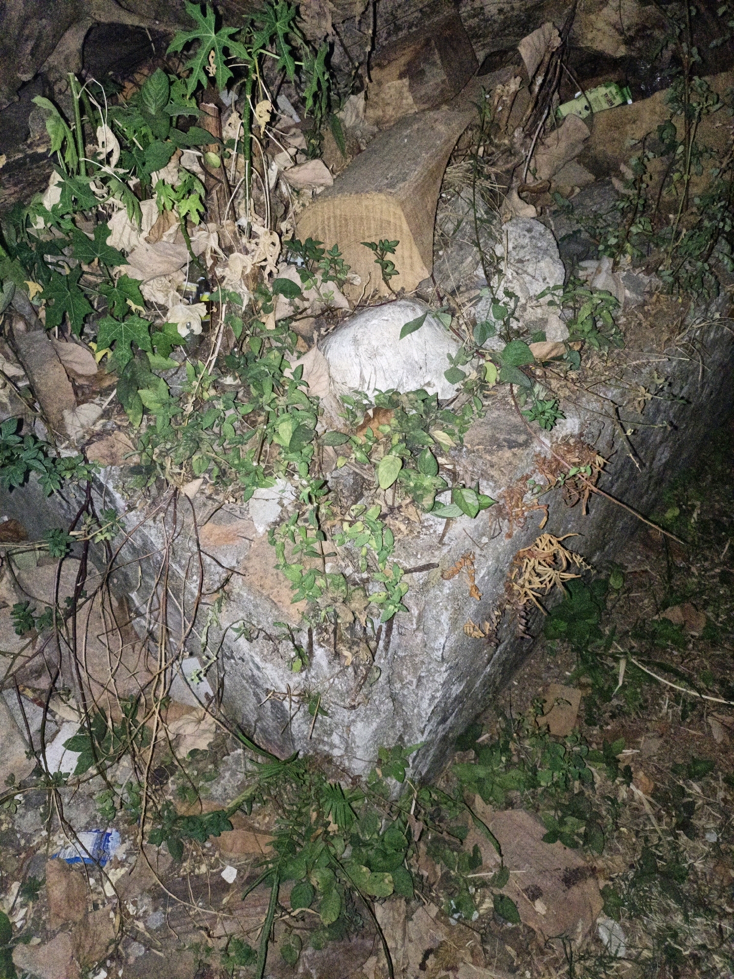The image depicts a pile of debris and vegetation in Cikal, Indonesia. The scene includes large rocks, fallen leaves, and various green plants that are growing amongst the debris. There are also some pieces of wood and what appears to be discarded plastic packaging visible in the lower left portion of the image. The lighting suggests that the photograph was taken at night or in a dimly lit environment. The overall impression is one of an unkempt, outdoor area, possibly an abandoned lot or a neglected corner of a property.