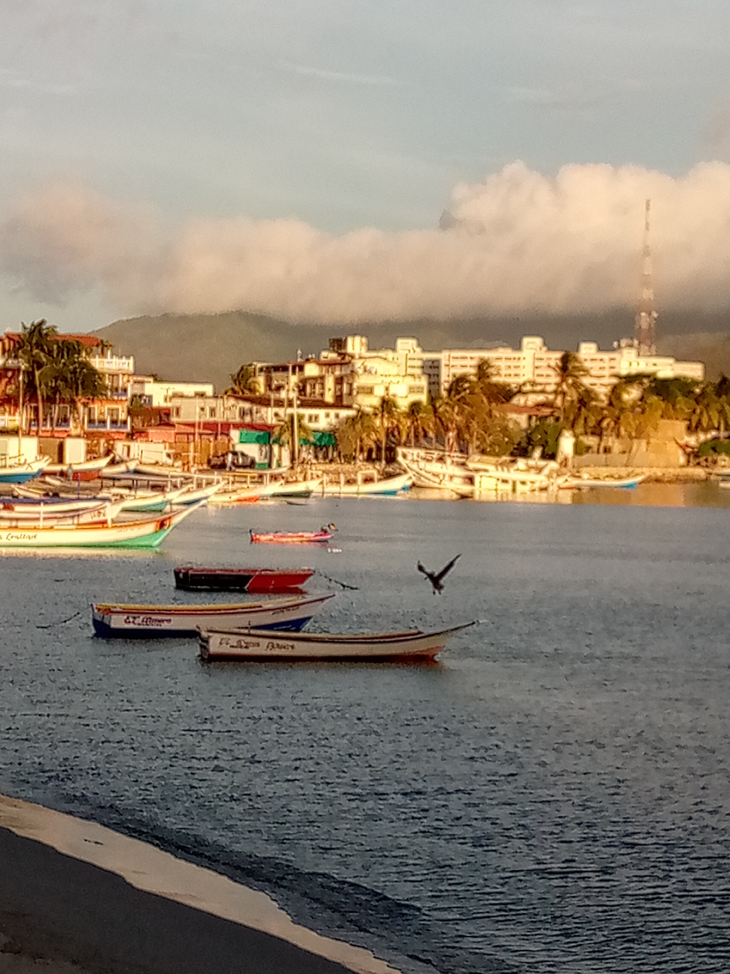 The image depicts a harbor scene in Juan Griego, Venezuela, at what appears to be late afternoon or early morning, given the warm, soft lighting. Numerous small, colorful boats, likely fishing vessels, are moored in the calm, blue water. Some of these boats are white with red or green accents, while others are a natural wood color. In the background, a densely packed waterfront of buildings, some appearing to be multi-story structures, lines the shore. Palm trees are visible interspersed among the buildings, suggesting a tropical coastal environment. Beyond the town, a hazy mountain range forms the backdrop, partially obscured by wispy clouds that catch the golden light. A single bird in flight is captured in the mid-ground, its dark silhouette stark against the lighter sky and water. The overall impression is one of a tranquil, working harbor town bathed in the gentle light of the sun.