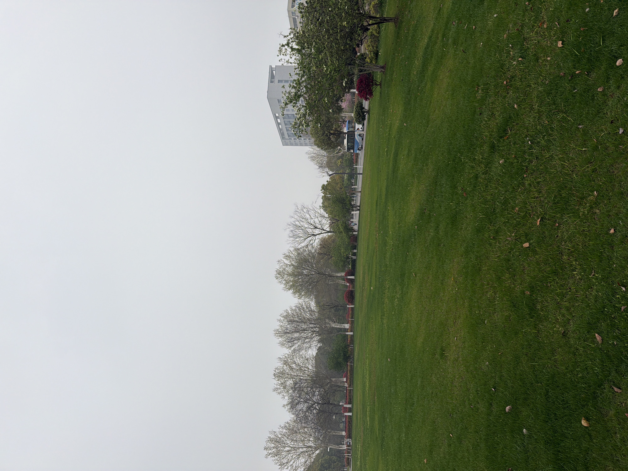 The image depicts a park scene in Jiangning District, China. The foreground is dominated by a green lawn. A row of trees, some bare and some with budding leaves, lines the edge of the lawn. Beyond the trees, there is a road and a building. The sky is overcast. A white and blue shuttle bus is visible.