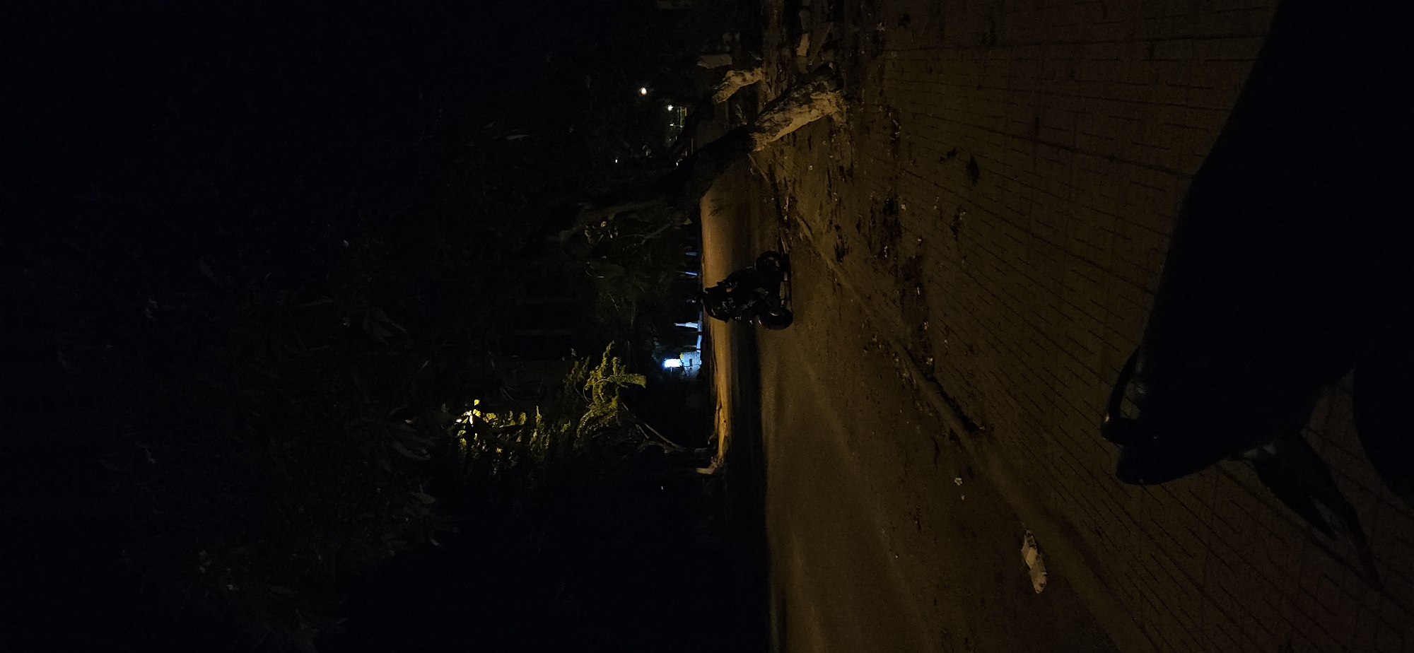 The image depicts a nighttime outdoor scene, likely a street or alleyway, captured from a low angle. The perspective suggests the original image was taken vertically, but it is currently oriented horizontally.
When viewed upright, the scene features a dark motorcycle, possibly a scooter, parked on a paved or dirt path on the right side of the frame. To the immediate right of this path, a textured wall or building exterior is visible, appearing to be constructed of bricks and showing signs of wear or debris. The wall is illuminated by an unseen light source, casting a warm, yellowish glow.
On the left side of the path, dense foliage, including trees and bushes, dominates the view. These plants are mostly shrouded in darkness, but some leaves are subtly highlighted by distant artificial light, appearing in shades of yellow and green. Further in the background on the left, beyond the foliage, faint artificial light sources, including a distinct bright light and some blue illumination, suggest the presence of other buildings or streetlights.
The time of day is clearly night, evidenced by the overall darkness and reliance on artificial lighting. No people are visible in the scene, and no specific activity is taking place; it is a still, quiet moment. There is no visible text in the image. The setting appears to be an urban or semi-urban environment in Bac Nha Trang Ward, Vietnam.