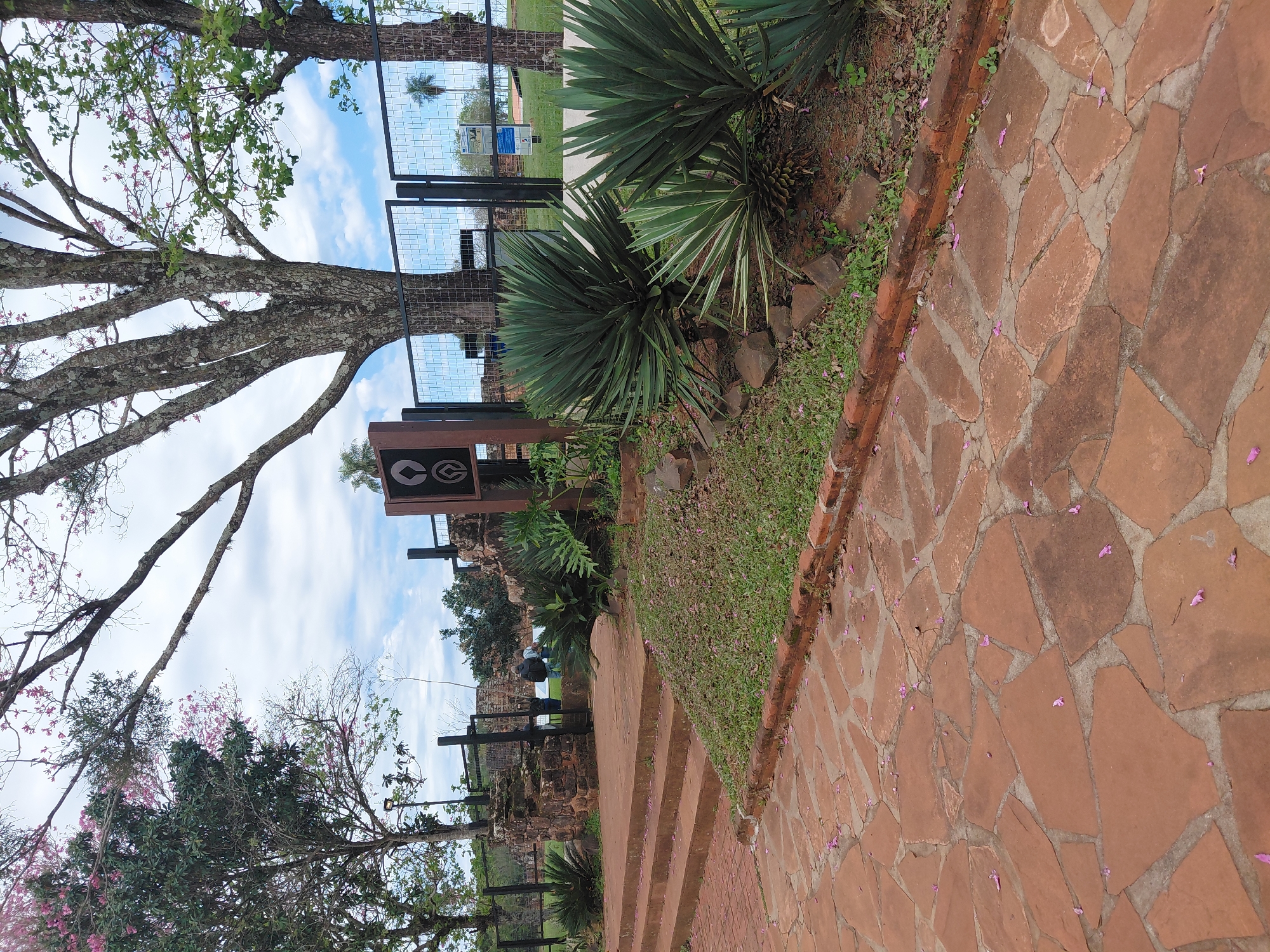 The image captures a view of the Jesuit Missions of Trinidad, Paraguay, on a cloudy day. In the foreground, a pathway paved with irregular reddish-brown flagstones leads into the scene. Scattered on the flagstones are fallen pink petals. To the left, a set of brick stairs ascends slightly.
The middle ground features lush green vegetation, including spiky succulents and other leafy plants. A brown signpost with a circular emblem featuring concentric rings is visible. Behind the vegetation, a black metal fence with a diamond pattern encloses an area. Beyond the fence, several trees, including one with a thick, gnarled trunk, are present. In the distance, a few palm trees can be seen, and the sky is a mix of white clouds and blue. The remnants of stone structures, possibly part of the historical mission, are visible behind the fence on the left side. Two individuals are standing near the fence on the left, looking away from the camera, and a third person is partially visible in the background.