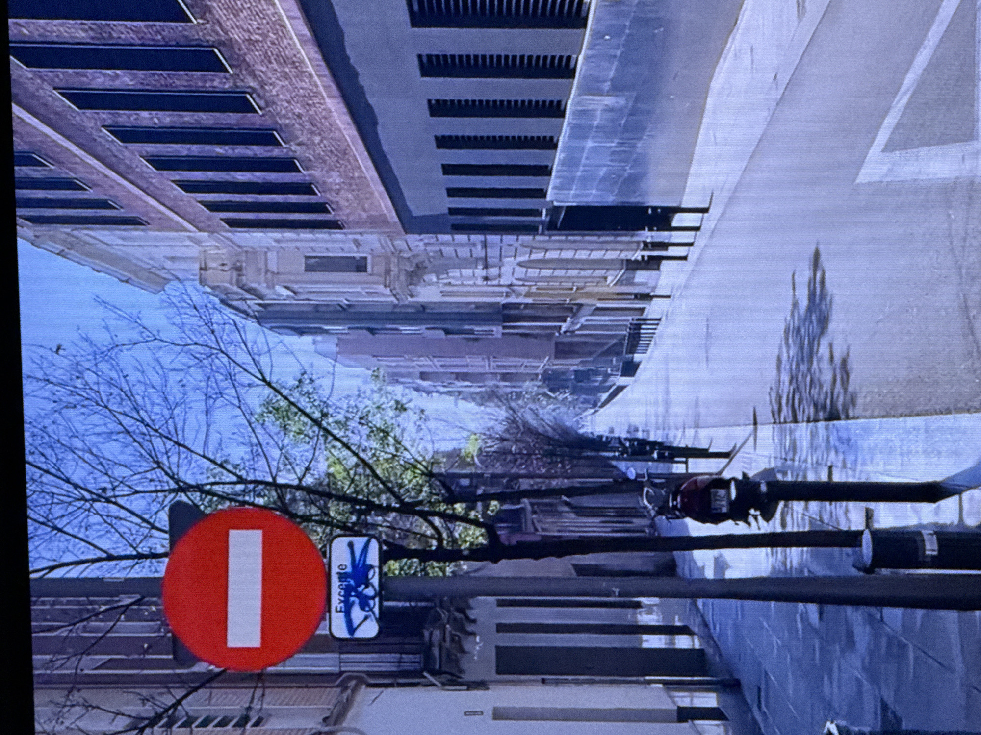 This is a vertically oriented, slightly blurry, close-up image of a street scene. The scene appears to be an urban environment, possibly in Dubai, United Arab Emirates, judging by the architectural style of the buildings. The buildings lining the street have a modern, somewhat monolithic design with repetitive, dark rectangular window-like features. The street itself appears wet, suggesting recent rain or a street cleaning operation.
In the foreground, a red circular traffic sign with a white vertical bar is prominently displayed. To the right of this sign, there's a smaller rectangular sign with blue scribbled markings and the word "Excepte" written vertically in white. A lamppost with some attachments is also visible. Bare tree branches, devoid of leaves, extend into the frame from the left, hinting at a cooler season. The sky is a pale blue, and the overall lighting suggests it is daytime, possibly late afternoon or early morning given the subtle shadows. The image's orientation is rotated 90 degrees clockwise.