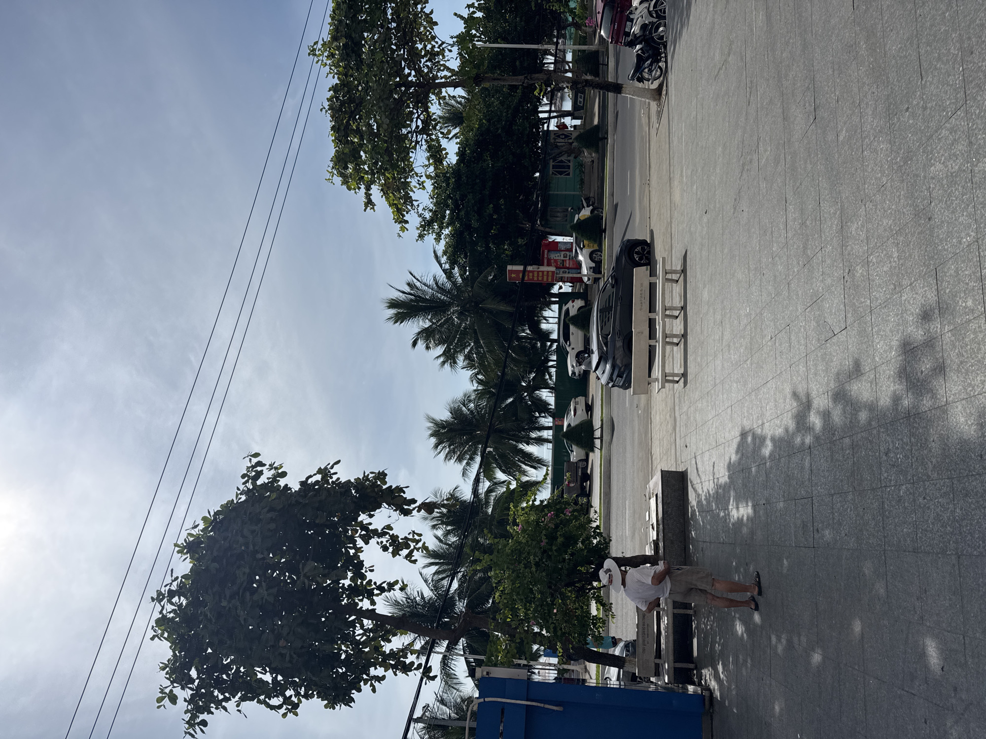 A man wearing a white t-shirt and shorts stands on a paved sidewalk in front of a tropical street scene in Bac Nha Trang Ward, Vietnam. He is wearing a white hat and sandals. Behind him, a line of palm trees and other foliage separates the sidewalk from a street with several vehicles, including cars and motorcycles. The sky is partly cloudy, and the sun is bright, casting shadows on the ground. A blue structure is visible on the far left of the image. A bench is located on the sidewalk to the left of the man, and another bench is further to the right, in front of a dark-colored car.