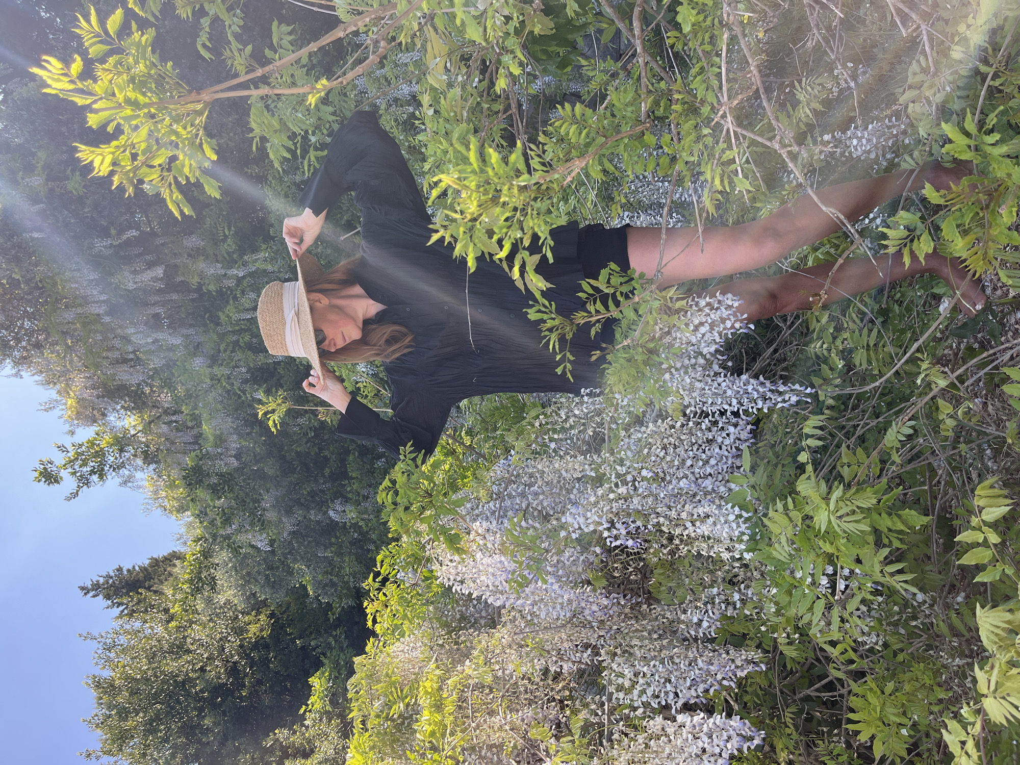A woman stands immersed in lush natural surroundings, surrounded by dense green foliage and abundant white and light purple wisteria flowers. She has long brown hair and is wearing a black top or short dress, along with a straw hat that has a white ribbon. She holds the brim of her hat with both hands, with her head slightly tilted down and her face partially obscured by the hat and sunglasses.
The scene is brightly lit by natural sunlight, casting golden hues on the leaves and creating distinct lens flares, suggesting either morning or late afternoon. The sky is clear blue in the upper left corner of the frame. The wisteria cascades around her, forming a rich, floral backdrop. Her bare legs are visible amongst the greenery and flowers. The overall impression is one of tranquility and natural beauty. No text is visible in the image. The setting is in Sveti Stefan, Montenegro.