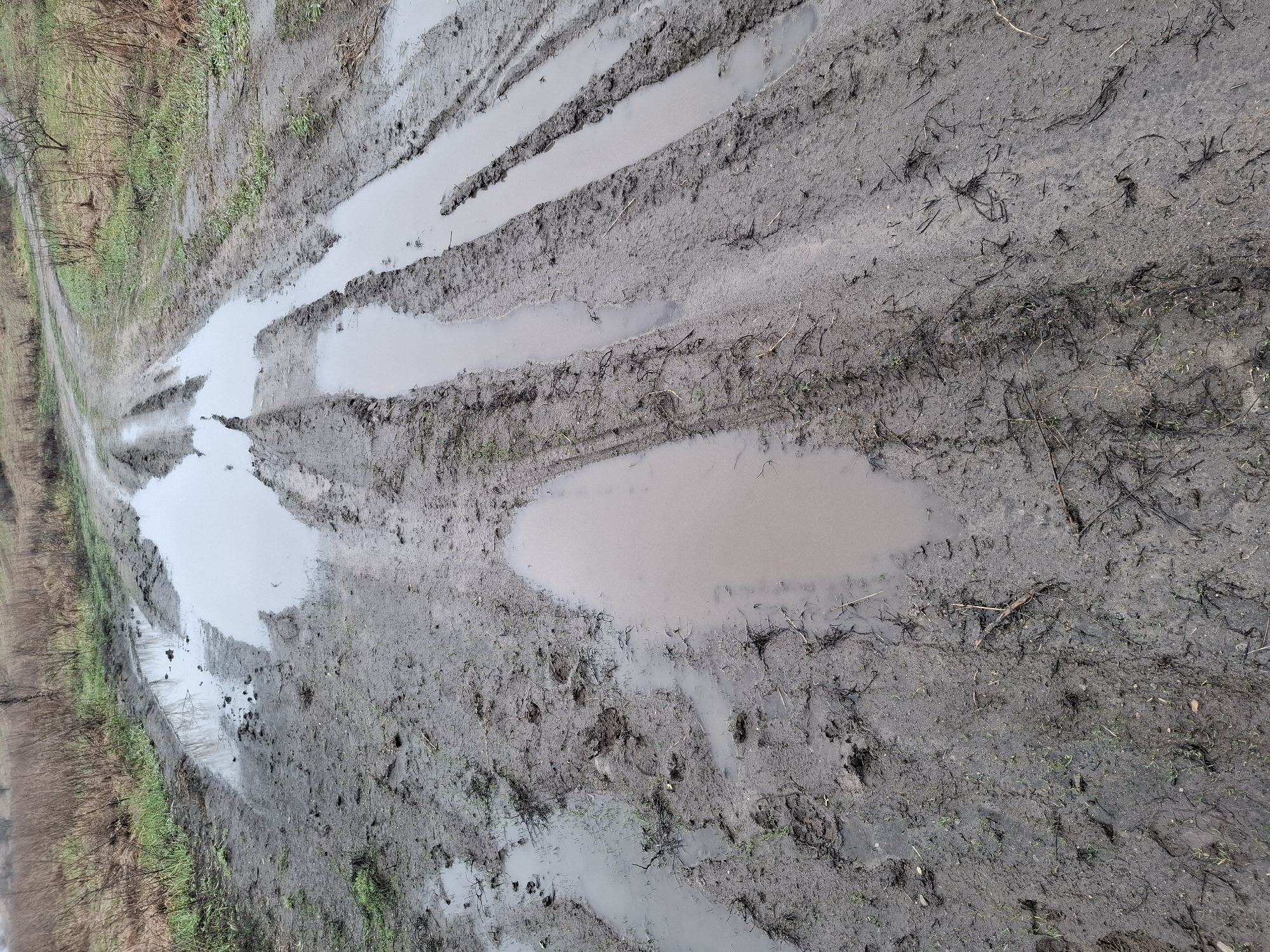 The image depicts a muddy, rutted dirt road, likely in a rural area, with standing water in the tire tracks. Vegetation is visible along the edges of the road. The location is specified as Khlevnoye, Russia. There are no people or animals visible. The scene suggests a recent period of wet weather.