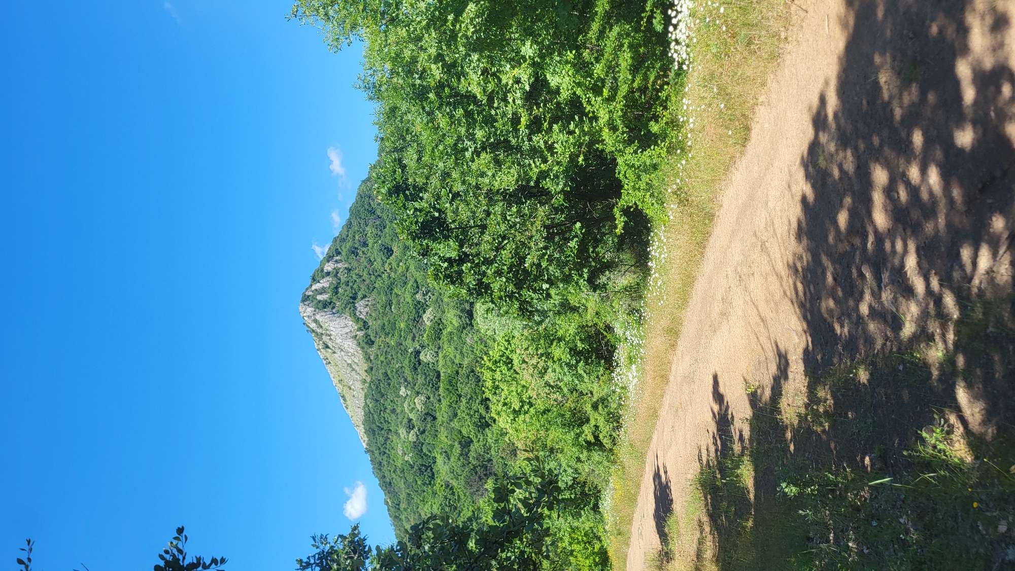 A dirt road winds through a lush green forest, leading towards a rocky mountain peak under a clear blue sky. The mountain is covered in dense vegetation, with some exposed rock faces at its summit. The road is dappled with the shadows of trees, and wildflowers dot the grassy edges. The scene evokes a sense of natural beauty and tranquility. The location is the area surrounding the city of Bilka, Bulgaria.
