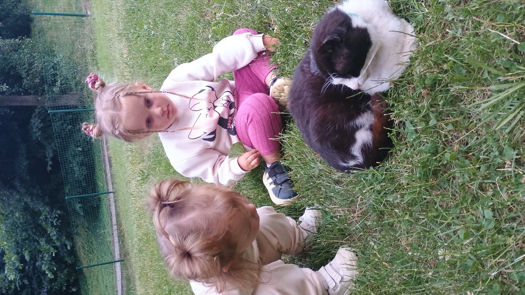 Two young children are sitting on a grassy area. The child on the left, facing away from the camera, is wearing a light-colored jumpsuit and white sneakers. The child on the right, facing the camera, is wearing a light pink sweatshirt with a graphic of Minnie Mouse and pink pants. This child has blonde hair styled in two braided pigtails with pink accents. A black and white cat is lying on the grass in front of the children. The background shows a green fence and trees, suggesting an outdoor setting, possibly a park or backyard, in Sokolov, Czechia. The children appear to be interacting with the cat and the grassy environment.
