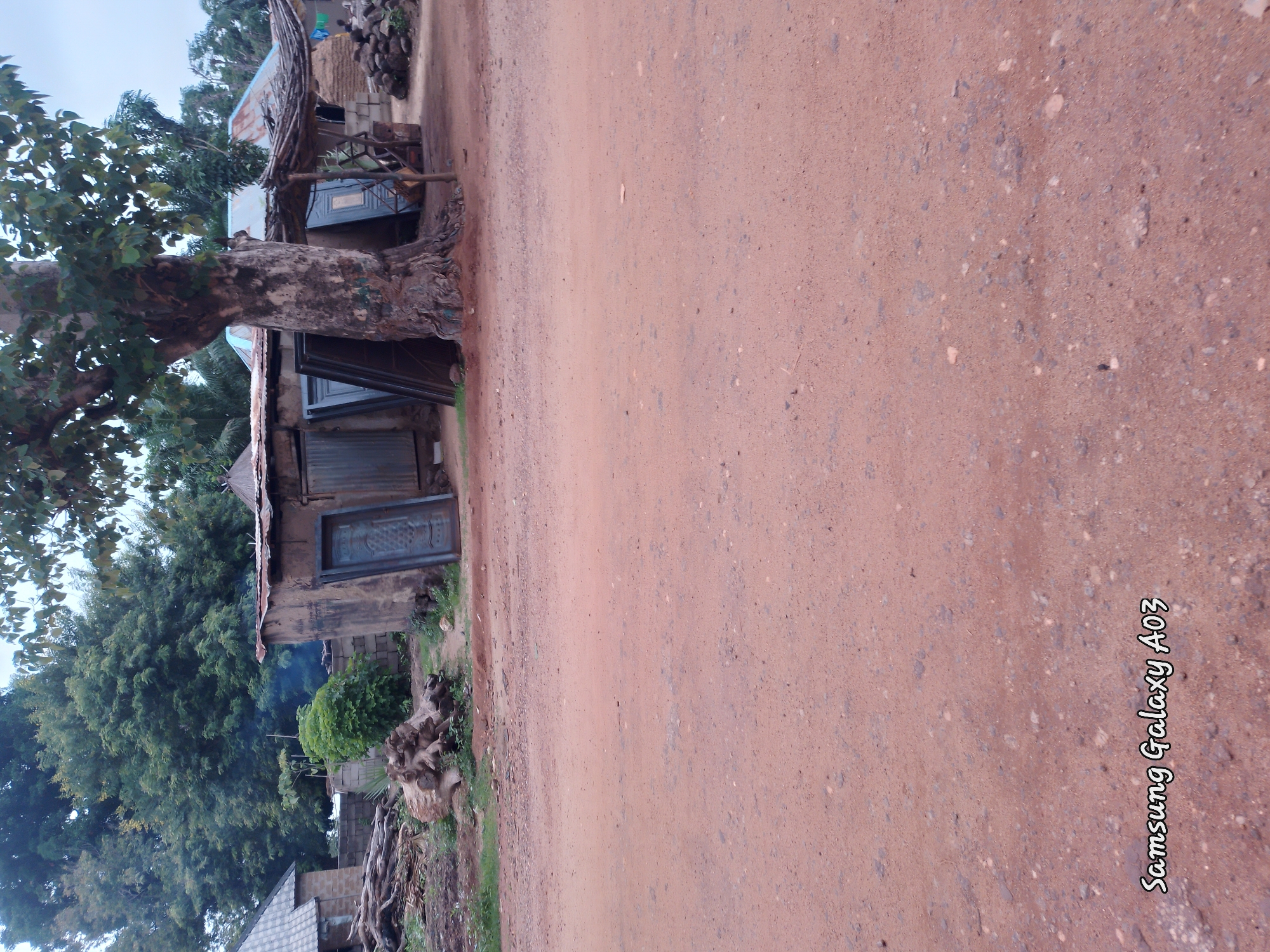 In Doka-Tofa, Nigeria, a dirt road stretches across the foreground of the image. Beyond the road, a weathered building with a corrugated metal roof stands. Several doors, leaning against the structure, are visible. To the left of the building, a large tree with a thick trunk is prominent. Piles of wood and a smaller, leafy bush are situated near the building. In the background, more trees and structures can be seen, suggesting a rural or semi-rural setting. The overall scene depicts an outdoor environment with elements of construction and natural landscape.