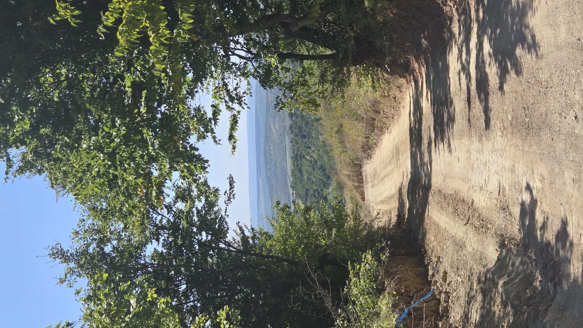 The image depicts a dirt road descending a hill through a wooded area. The road is carved into the hillside with trees lining both sides, forming a natural frame that opens up to a distant, hazy landscape. The sky is clear blue. The road surface shows tire tracks, suggesting it is used by vehicles. The foreground of the road is rough and uneven, with exposed soil and debris on the left side. The background reveals rolling hills covered in dense green vegetation. In the far distance, a faint line of hills is visible under the bright sky. The scene appears to be a rural or semi-rural setting.
