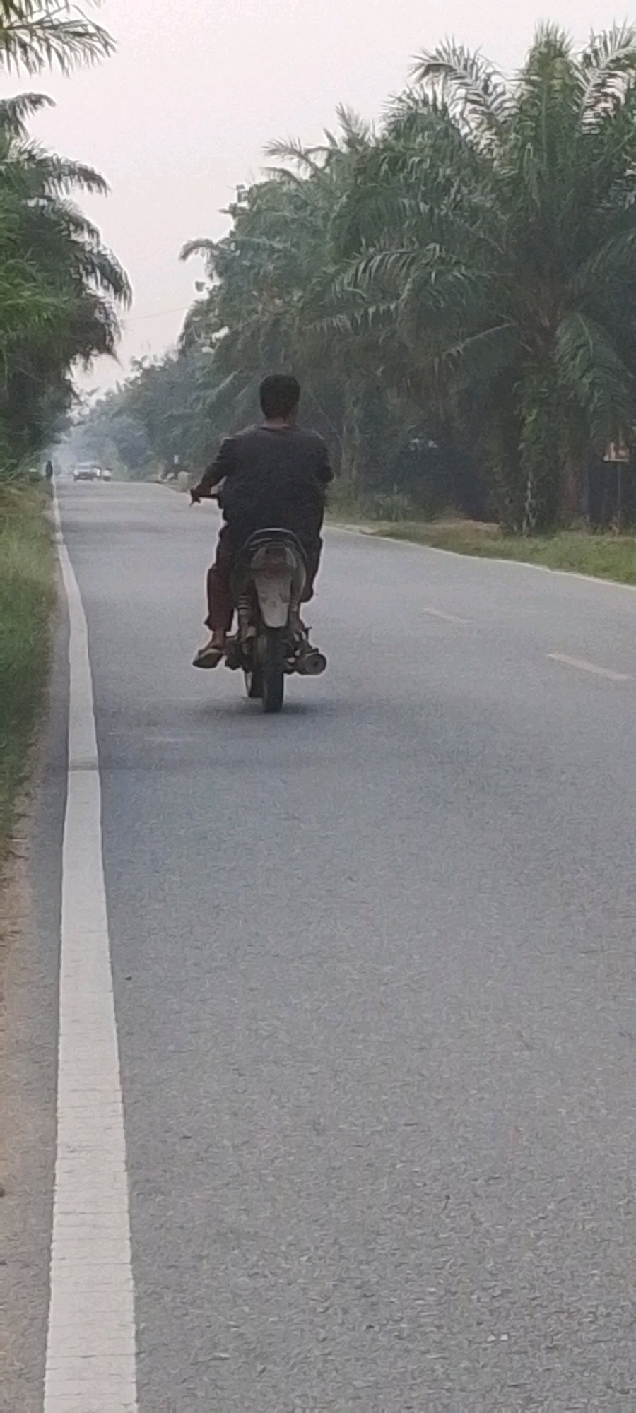 Two individuals are riding a motorcycle on a two-lane asphalt road in Teluk Pulau Hulu, Indonesia. The person in the front is operating the motorcycle, wearing a dark t-shirt and dark pants. The person in the back is also wearing dark pants and appears to be wearing a dark shirt. The motorcycle is a dark color with a visible exhaust pipe. The road has a white line marking the left lane. Palm trees and other vegetation line both sides of the road. The sky is overcast. A car is visible in the distance on the road.