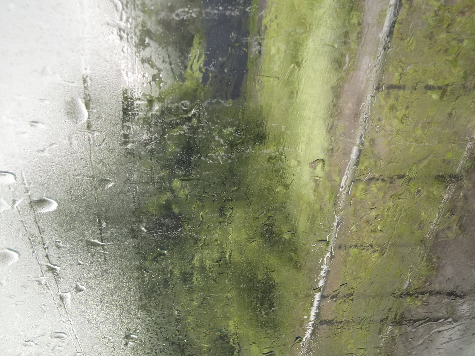 The image is an extreme close-up, taken from behind a window covered in numerous water droplets. The droplets are of varying sizes, with some coalescing into larger streaks. The background is heavily blurred due to the water and the focus of the camera, but it appears to be an outdoor scene with predominantly green foliage, suggesting trees or dense vegetation. There are also hints of a light-colored horizontal line and some darker, possibly man-made structures, in the mid-ground. The overall impression is that of looking out a window during or shortly after a rain shower, with the natural environment heavily obscured by the water on the glass. The scene is devoid of any people or discernible human activity.