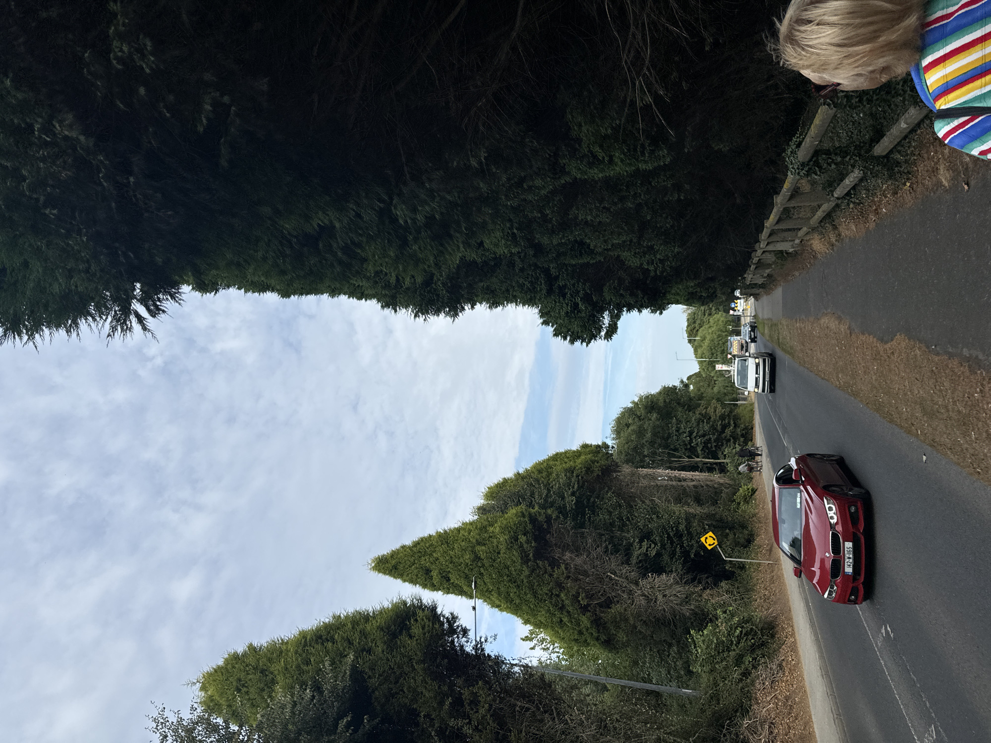 The image captures a view of a road flanked by tall evergreen trees in Waterford, Ireland. A red BMW car is driving on the road, while a white van and a few other vehicles are further ahead. A pedestrian walkway runs alongside the road, bordered by a wooden fence. In the foreground, a woman with blonde hair is seen from behind, wearing a colorful striped shirt. The sky is partly cloudy, indicating daytime. A yellow road sign with a circular arrow is visible on the left side of the road. The overall scene suggests a suburban or rural setting on a day with moderate weather conditions.