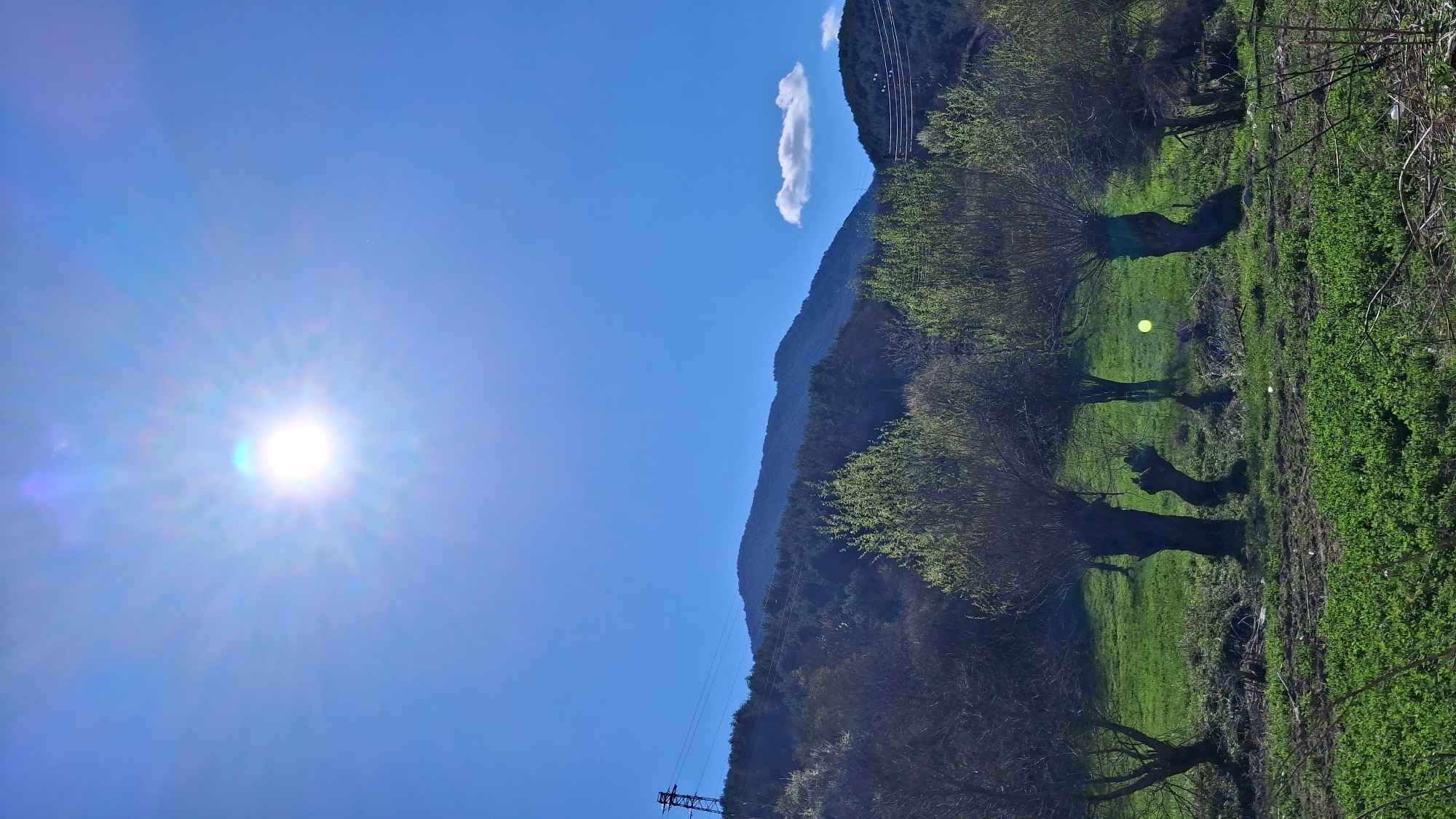 The image shows a landscape in Goce Delcev, Bulgaria, featuring a bright sun in a clear blue sky. A mountain range runs diagonally across the frame, with some trees and vegetation covering the slopes. A single, small white cloud appears near the mountain peak. In the foreground, a green field contains several trees, casting long shadows on the grass. A powerline tower is visible near the bottom left corner of the image.