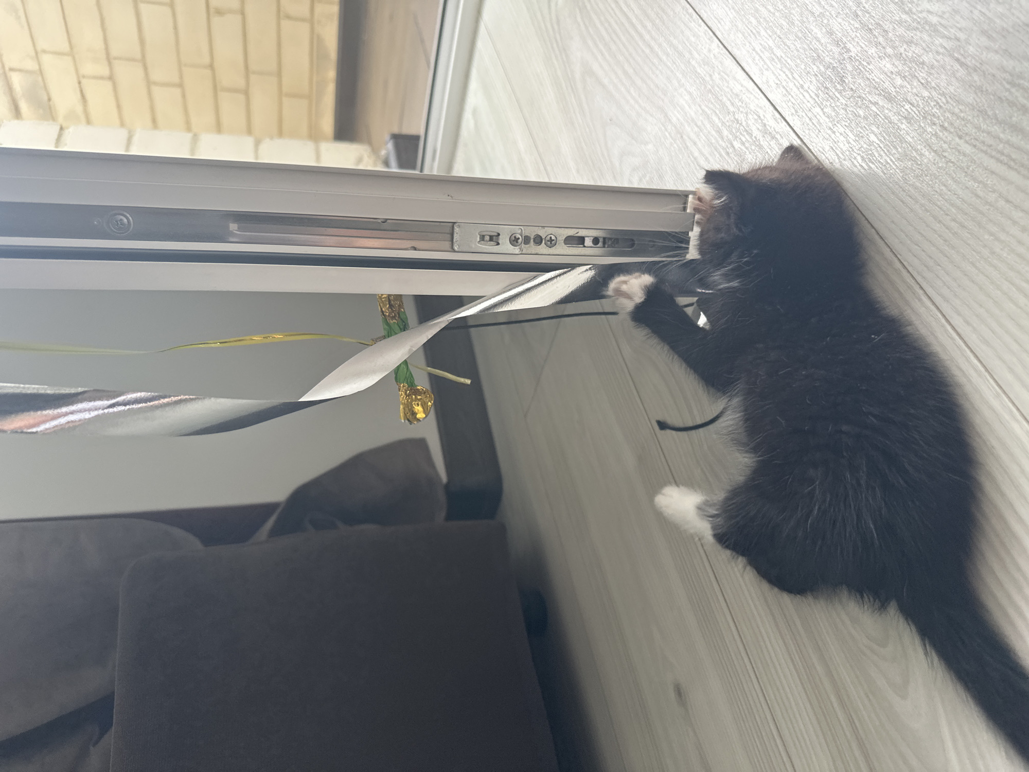 A black and white kitten is playing with a shiny ribbon attached to a door frame. The kitten is lying on its back on a light-colored wooden floor, with its paws reaching up towards the ribbon. The door frame is white and appears to be made of metal. In the background, a dark brown sofa and a brick wall are visible. The scene suggests a domestic setting. The location is not specified in the image or its context.