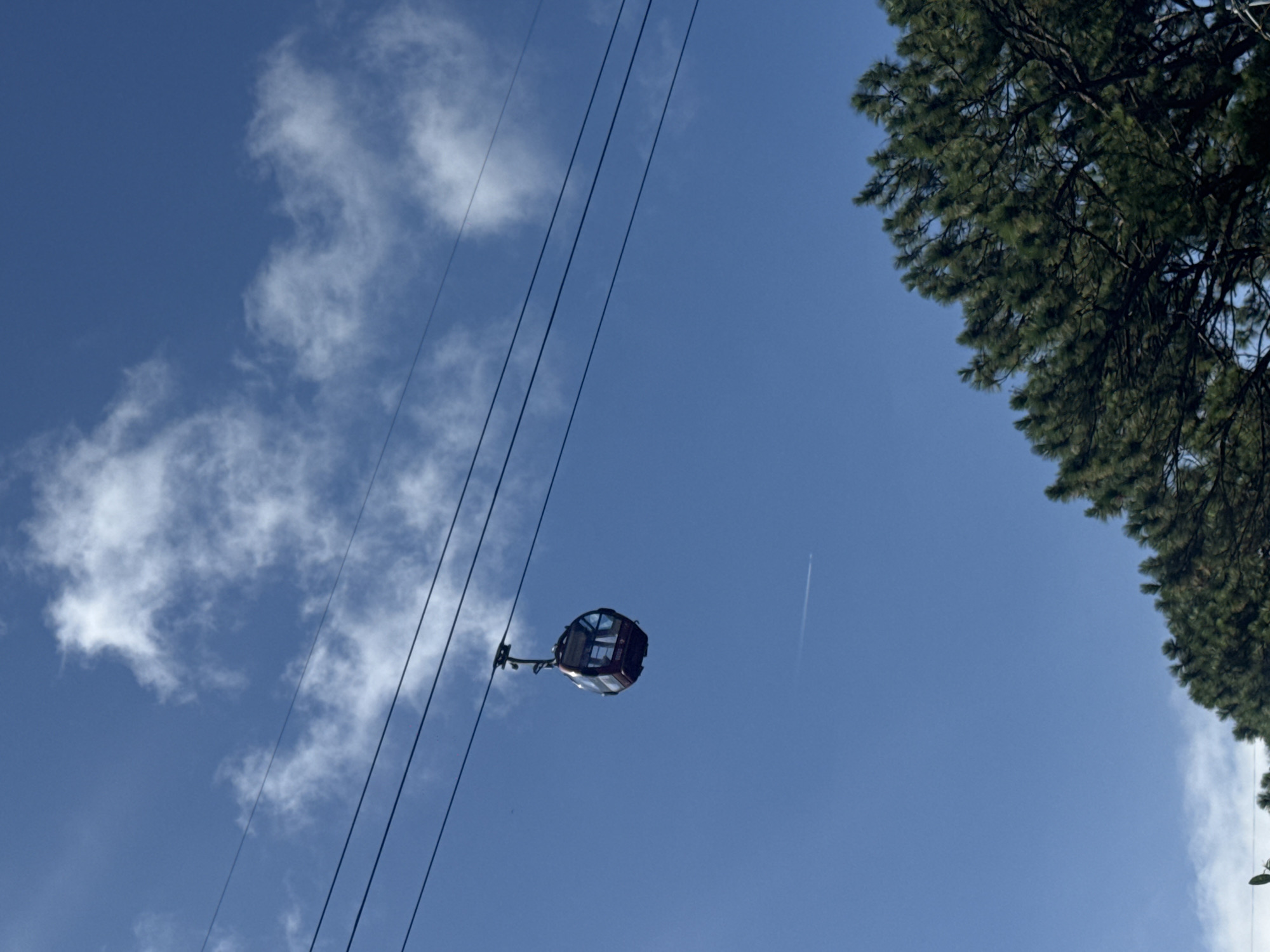 A lone cable car is suspended in the air against a clear blue sky with scattered white clouds. The cable car, which appears to be maroon and dark, is hanging from overhead cables. Below and to the right of the cable car, the dark green needles of a conifer tree branch stretch across the lower portion of the frame. In the distance, a faint white contrail from an airplane is visible in the sky. This scene is likely the Ba Na Hills cable car system in Da Lat, Vietnam, known for its scenic mountain views and extensive cable car network.