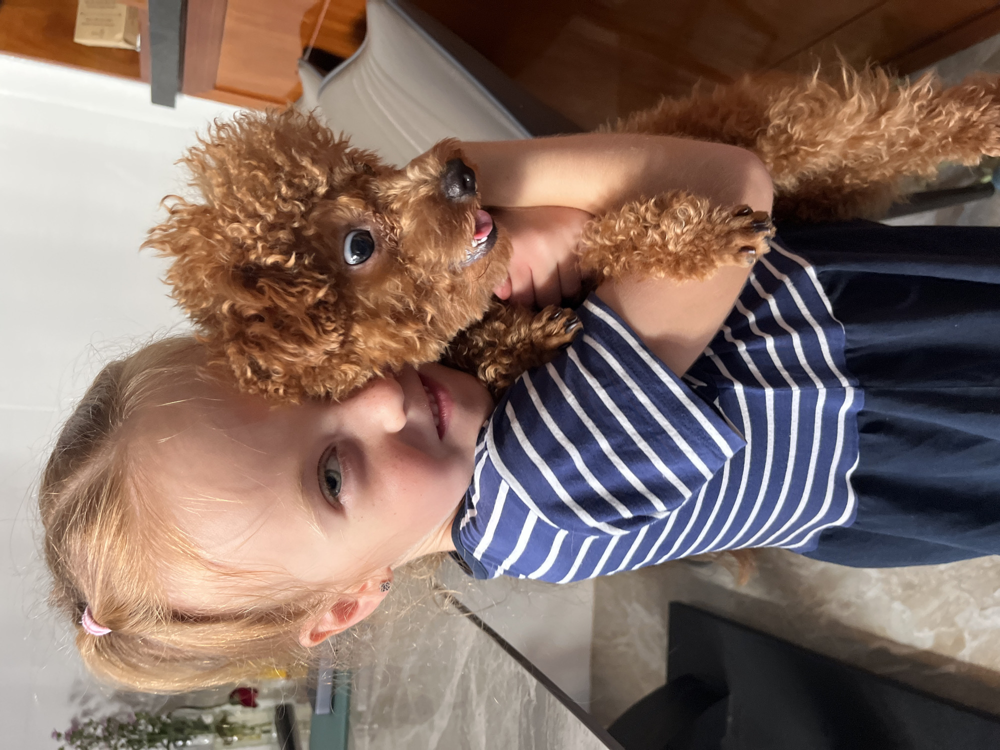 A young, fair-skinned child with blonde hair pulled back into a ponytail on the left side is holding a small, brown poodle. The child is wearing a navy blue dress with white horizontal stripes. The dog is facing the camera with its tongue slightly visible. They appear to be indoors, possibly at a home. Bac Nha Trang Ward, Vietnam is not visible in the image.
