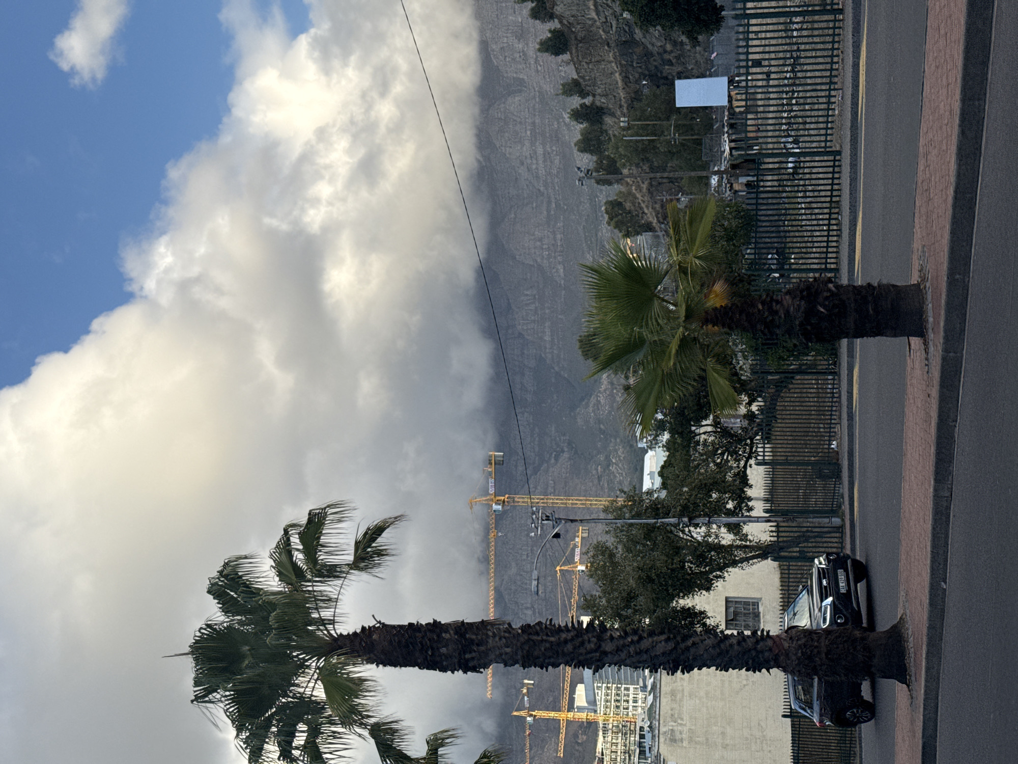 The image shows a landscape in Cape Town, South Africa, featuring a mix of natural and urban elements. Two palm trees stand prominently in the foreground, their trunks obscuring part of the street and adjacent building. A mountain is visible in the background, shrouded in mist and clouds. Several construction cranes are also noticeable in the backdrop, alongside modern buildings. A black car is parked along the roadside. The sky is partly cloudy with patches of blue visible. A fence runs along the street, separating it from the buildings. The scene captures a typical urban setting with nature as a backdrop.