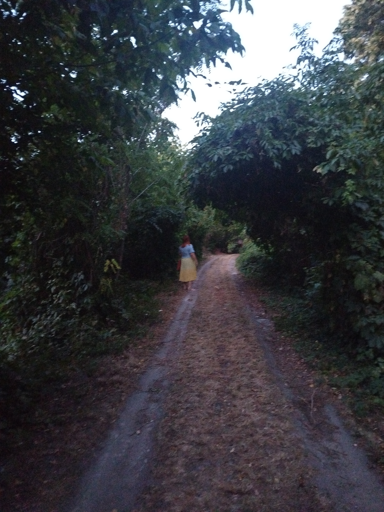 An image depicts a dirt path winding through a dense, verdant forest, with a solitary woman walking away from the camera. The woman, with her back to the viewer, is wearing a light blue top and a long, yellow skirt. The path is flanked by thick foliage, with trees forming a natural archway overhead, creating a tunnel-like effect. The lighting suggests it is either early morning or late evening, with the sky visible as a pale, washed-out color through the canopy. The ground of the path is covered with dry leaves and dirt. The image is somewhat out of focus, contributing to a slightly hazy, atmospheric quality. The location is Petrovaradin, Serbia, specifically on a path within the forested areas of Petrovaradin.
