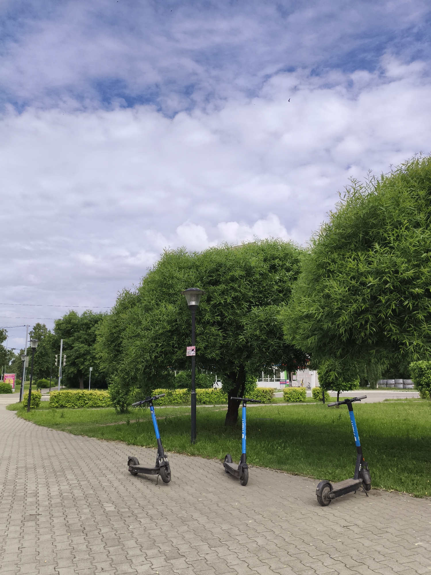 This image depicts a public outdoor scene, likely a park or boulevard, in the city of Chaikovsky, Russia. The upper portion of the frame shows a partially cloudy sky with patches of light blue interspersed with white and light grey stratocumulus clouds. Several small, dark avian figures are visible against the sky in the upper right quadrant.
The mid-ground is dominated by a row of large, dense, rounded trees with vibrant green, narrow-leaved foliage, possibly belonging to the Salix (willow) genus. These trees line a strip of green grass and low, yellowish-green bushes.
In the foreground, a grey pedestrian pathway, constructed from interlocking pavers, curves from the lower left towards the center-right. Three black electric scooters with prominent blue accents on their vertical stems are parked upright on their kickstands on this pathway. The scooters display vertical white lettering, consistent with the "Whoosh" ride-sharing service.
Two black lampposts with dark, contemporary light fixtures are visible along the path. One lamppost in the mid-ground, positioned between two of the scooters, has a small, rectangular red and white sign attached to its pole, the text of which is illegible. In the background, beyond the trees, faint utility wires, additional trees, and indistinct architectural elements suggesting urban buildings are discernible. No human figures or ground-level animals are present in the scene.