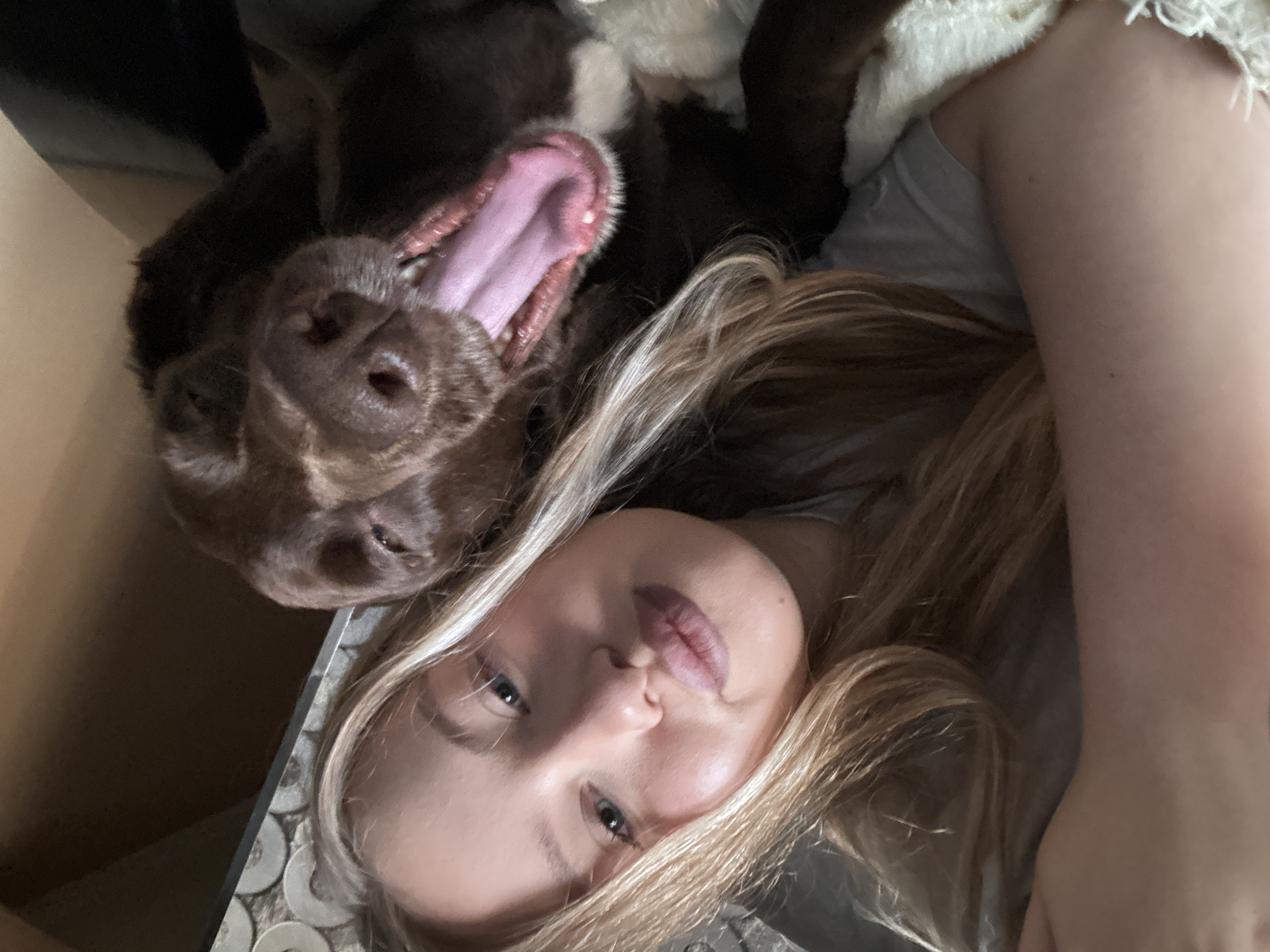This is a selfie of a young Caucasian woman with long blonde hair and blue eyes, lying down with a chocolate-colored dog. The woman is wearing a grey t-shirt and her left arm is visible, resting behind her. The dog is in the foreground, yawning widely with its tongue and teeth visible. The background is blurred, showing a textured surface and a dark brown wall. The image appears to be taken indoors, possibly in a home environment. There is no indication of the location being in Miass, Russia.