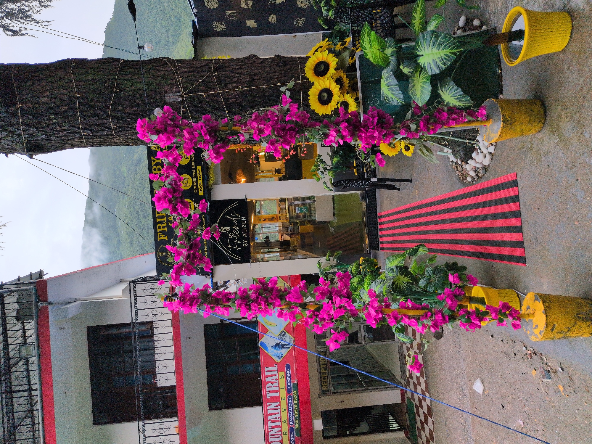 A close-up, eye-level shot captures the entrance to a building adorned with vibrant pink bougainvillea, framing a doorway. The building, likely a guesthouse or cafe, features a multi-story facade with balconies and windows. A sign above the entrance reads "FRIENDS BY ALIZEH," suggesting a cafe or social space. To the left, a sign for "MOUNTAIN TRAIL TRAVELS" indicates adventure and travel services, with contact information. The scene is set in Bhagsu, India, with a misty mountain landscape visible in the background. Yellow planters with flowers and foliage are placed along the walkway, leading to the entrance. A striped red and black rug is laid out on the ground in front of the doorway. The overall atmosphere suggests a welcoming and lively establishment.