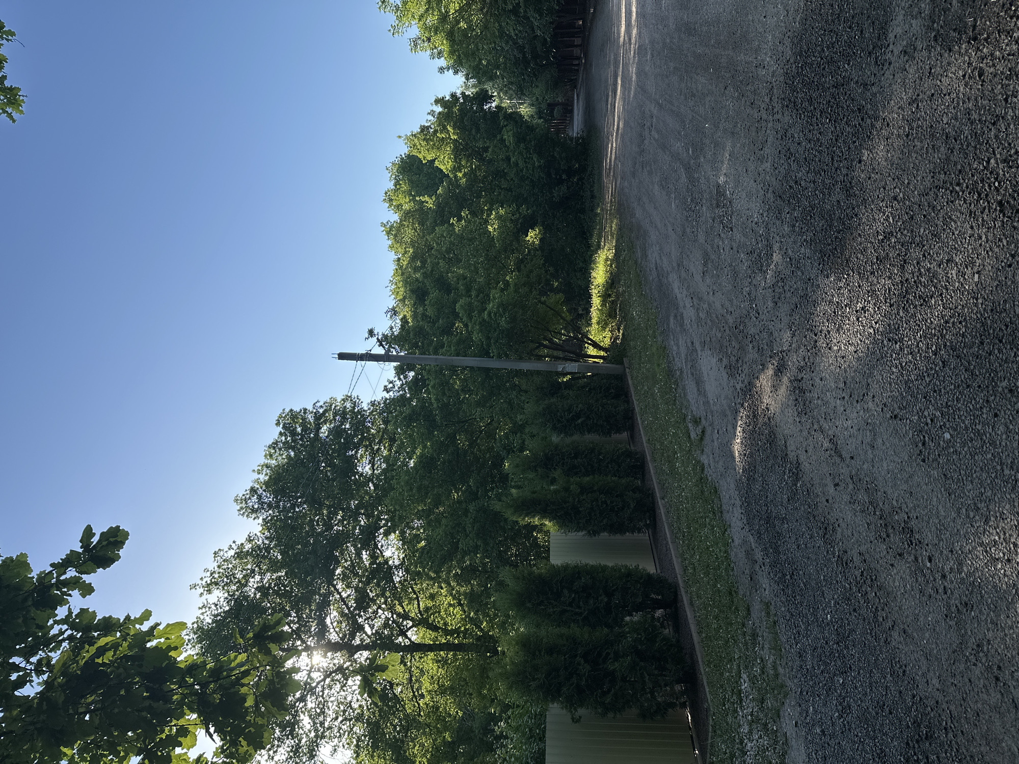 The image depicts a gravel road running alongside a line of trees and shrubs. A utility pole is visible on the left side of the road. The sky is blue, and sunlight filters through the trees. A portion of a building or fence is visible in the lower left corner. The location is in an unknown city.