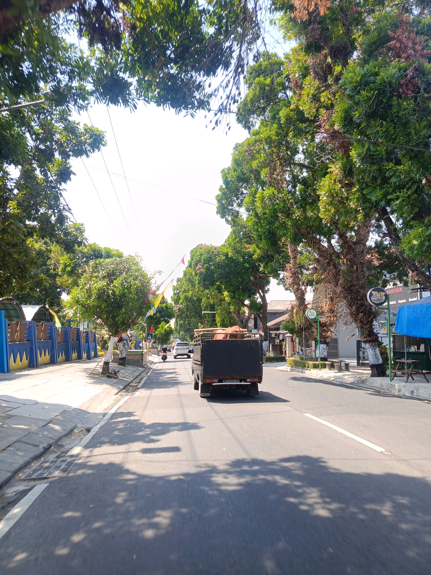 The image shows a street scene in Candirejo, Indonesia, under a bright, clear sky. The perspective is from a moving vehicle, looking forward down a two-lane asphalt road. Large, mature trees with lush green canopies line both sides of the street, casting dappled shadows on the road. The left side of the road features a blue and yellow patterned wall and a sidewalk with some smaller trees and plants. Decorative flags are strung across the street at intervals.
Several vehicles are present on the road, including a black truck in the foreground carrying what appears to be sacks of material, and a white car further ahead. A motorcycle is also visible. On the right side of the road, there are buildings, some with awnings and signs. One sign reads "NINETEEN" with a circular logo. There are also some small tables and chairs set up outside a building. The overall impression is of a typical day in a residential or commercial area of an Indonesian town.