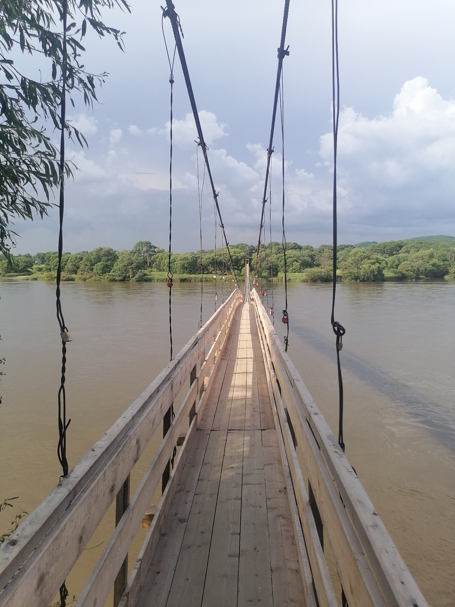 A suspended wooden footbridge crosses a wide, murky river. The bridge is constructed with light-colored wooden planks for the walkway and railing. Numerous dark cables, some appearing to support the bridge structure and others hanging vertically, crisscross the scene. Several padlocks of varying colors are attached to some of these cables. To the left, a tree with long, drooping leaves extends into the frame from the top. The opposite bank of the river is lined with dense green trees, with hints of rolling hills in the background under a cloudy sky. The lighting suggests it is daytime, with some sunlight casting shadows on the bridge. The location is identified as Novopokrovka, Russia.