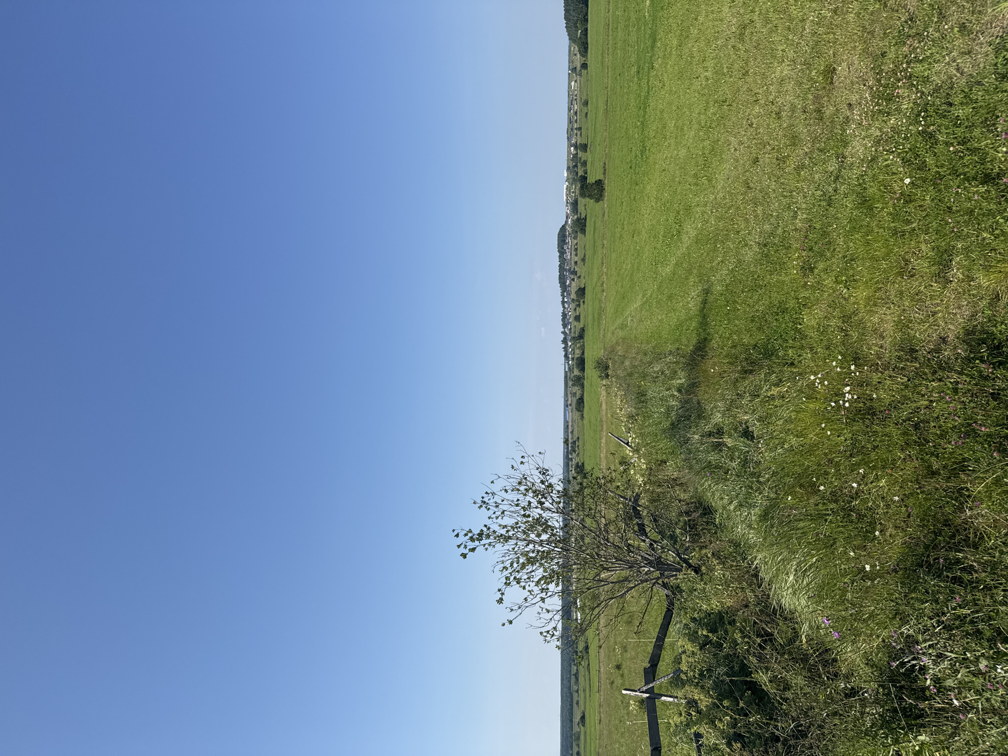 The image depicts a rural landscape under a clear, bright blue sky. In the foreground, on the left, there is a weathered wooden fence, partially overgrown with green vegetation and some small purple and white wildflowers. Adjacent to the fence is a small, somewhat bare tree. The rest of the scene is dominated by a vast, flat, green field, likely a meadow or pasture, with a faint track or path visible cutting through it from the foreground towards the horizon. In the distance, a cluster of buildings, possibly a village or small town, can be seen nestled amongst trees and a line of further greenery. The environment is serene and natural, with no people or animals visible. The location is identified as Kaporskoe, Russia, suggesting a tranquil, countryside setting.