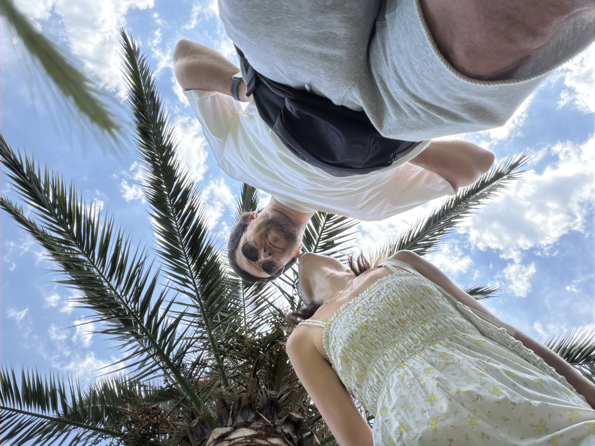 In Budva, Montenegro, a low-angle shot captures a man and a woman interacting beneath a palm tree against a bright blue sky with scattered white clouds. The man, wearing sunglasses and a white t-shirt with grey shorts, is looking towards the woman. He has a beard and a watch on his left wrist. The woman, in a light-colored, floral-patterned dress, is positioned to his left, leaning her head back and looking up. Her hair is dark. The scene is framed by the dark green fronds of the palm tree, with some blurred fronds in the foreground. The composition emphasizes the sky and the figures in relation to the tropical foliage.