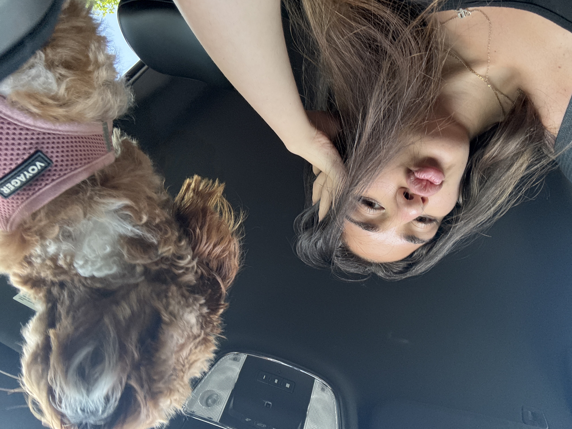 The image, taken from an upside-down perspective, shows a woman and a dog inside a car. The woman is positioned on the right, her face close to the camera, with her tongue slightly sticking out. She has long brown hair and is wearing a gold necklace. Her hand is raised to the side of her head. To the left of the frame is a fluffy, light-brown dog wearing a pink harness labeled "VOYAGER." The dog is also close to the camera. The background is dominated by the car's dark interior roof, featuring a dome light in the center. Based on the light and visible elements, the location is assessed as Delray Beach, United States of America.