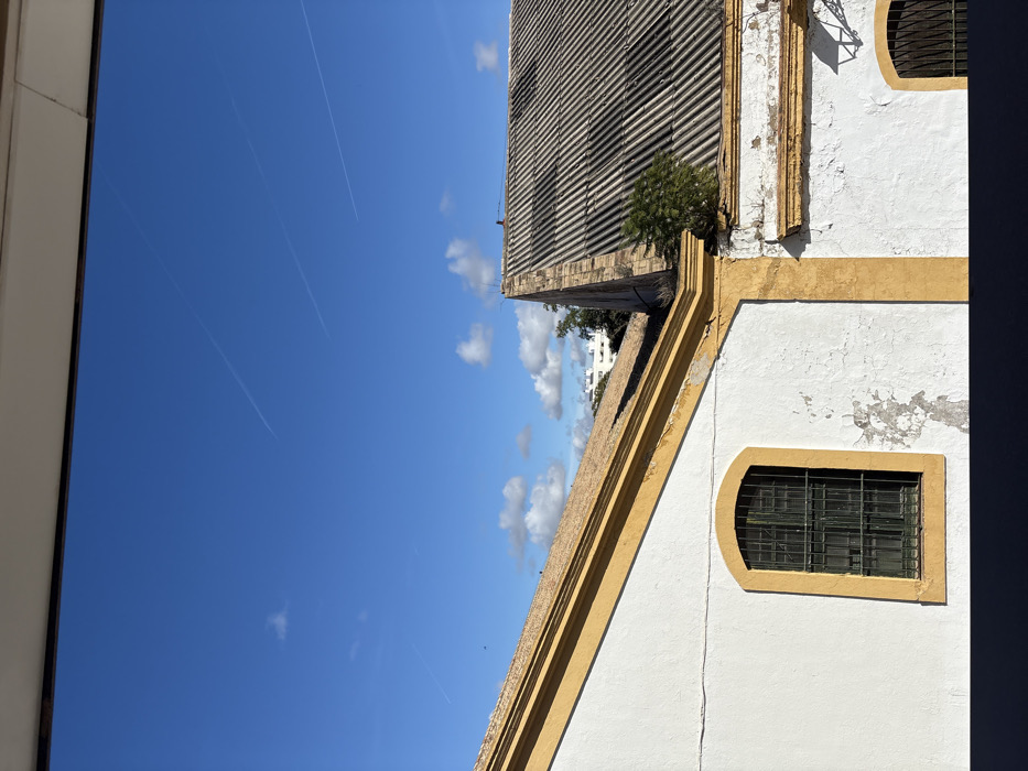 The image displays an urban rooftop scene in El Puerto de Santa María, Spain, under a clear, bright blue sky. Scattered white cumulus clouds are visible, along with three distinct white aircraft contrails traversing the upper portion of the sky. The immediate foreground is bisected by a dark horizontal bar, indicative of a window frame or balcony railing.
Two building structures dominate the middle ground. The building on the left has white stucco walls, exhibiting areas of peeling paint and dirt accumulation. An ochre-yellow trim outlines its gabled roof and frames a recessed, arched window fitted with dark green metal security grilles. The gabled roof is covered with weathered, light brown terracotta tiles.
The building on the right features a steeply pitched, corrugated roof, dark grey in color, showing significant weathering, discoloration, and streaking. A small, bushy green plant grows from a crevice on the white wall where it meets the roofline. This building's white walls also display peeling paint and are bordered by ochre-yellow trim. A portion of a second arched window with grilles is visible on the far right. In the distant background, beyond the immediate rooftops, white residential buildings are partially discernible, interspersed with green foliage. No individuals or active interactions are observed.