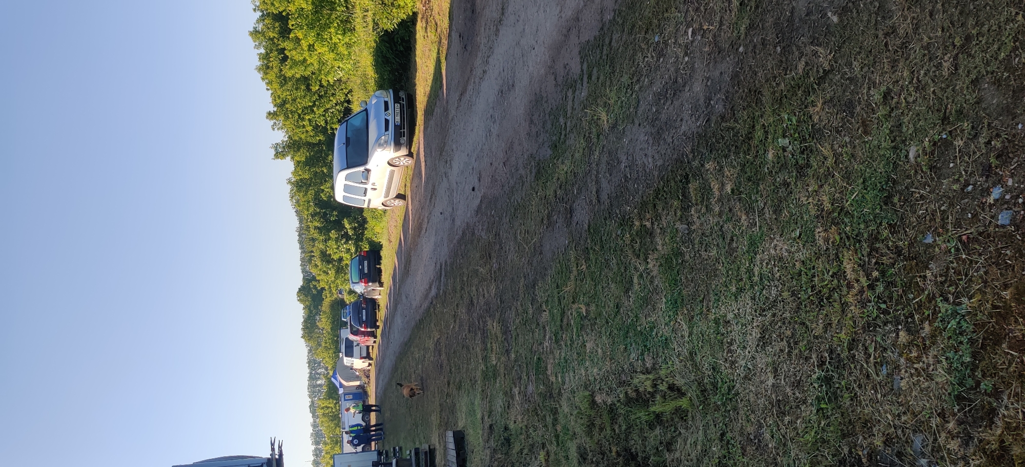 The image depicts an outdoor scene in Bezpalivka, Ukraine, featuring a line of parked vehicles along a dirt path beside a grassy area. The sky is clear and blue, with lush green trees bordering the path on the right side of the frame. Strong shadows cast by the vehicles suggest it is daytime, possibly morning or late afternoon.
The most prominent object is a silver minivan, likely a Renault Kangoo, parked on the dirt path in the midground. Its license plate, "HB 1980 ЕВ", is clearly visible and consistent with Ukrainian registration. Further down the path, several other cars of various colors are parked in a row.
In the foreground, a small, light brown dog is seen walking on the dry grassy terrain. Further into the background, near the end of the line of cars, a group of people is visible, some standing near what appear to be tents or makeshift structures. On the far left edge of the image, part of a larger, dark vehicle (possibly a truck or trailer) is partially visible.
The scene suggests an outdoor gathering or temporary parking area, possibly for an event such as a market, festival, or local meeting, given the informal setup, multiple parked cars, and presence of people and what might be temporary structures.