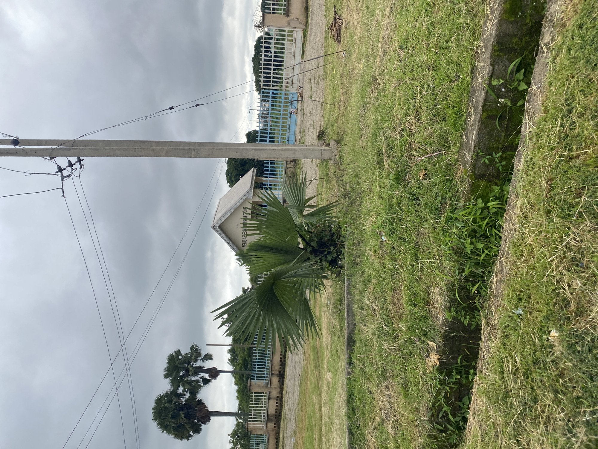 The image depicts an outdoor scene likely in Yelwa, Nigeria, under an overcast sky. In the foreground, a grassy area with a visible drainage ditch runs horizontally. Beyond this, a palm-like plant with large fronds is prominent. In the middle ground, a light-colored building with a sloped roof is visible, bearing signage that reads "NEEDS ASSESSMENT PROJECT 2019." Adjacent to the building is a white metal fence and a blue gate. Several tall palm trees stand to the left of the building. A concrete utility pole with electrical wires is situated in the right-middle of the frame. The background consists of trees and a hazy sky. There are no people visible in the image.