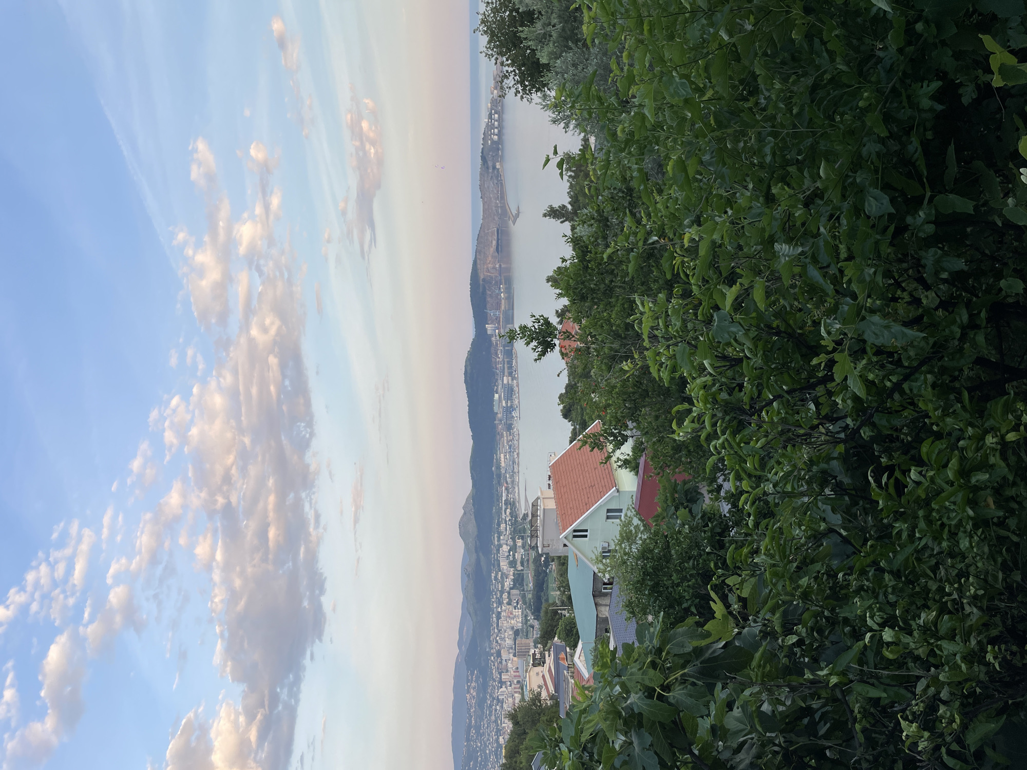 The image depicts a scenic view of Šušanj, Montenegro, during daylight. The sky displays a mix of blue and light pink hues with scattered clouds. The foreground consists of dense green foliage, partially obscuring a cluster of houses with red and blue roofs. The city stretches along the coast and extends into the distance, nestled at the base of mountains. A body of water is visible beyond the city.
