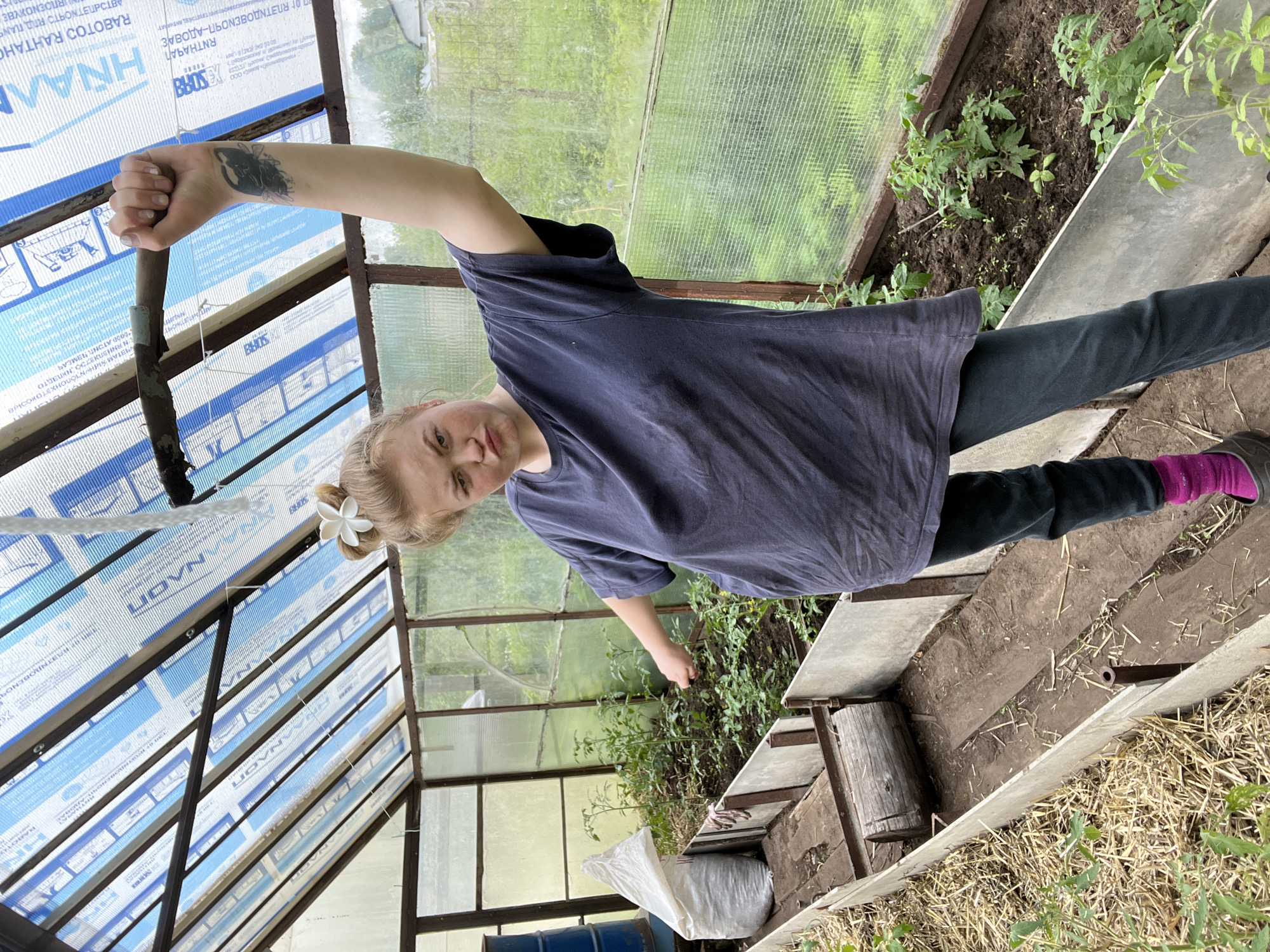 Here's a detailed description of the image:
**Setting:** The image appears to be taken inside a greenhouse located in a rural area. It is possibly a private garden. The location is identified as Chaikovsky, Russia, based on the detected text in the image. The greenhouse has a metal frame covered with translucent panels, possibly plastic or polycarbonate.
**People:** A young woman is the central figure in the image. She is wearing a dark blue t-shirt, dark-colored pants, and shoes with pink socks. A white flower is attached to her hair. She has a tattoo on her left forearm. She is standing inside the greenhouse, partially leaning over a planting bed.
**Objects:**
* **Planting bed:** It contains tomato plants.
* **Gardening tools:** A metal pole or tool is held in the woman's left hand.
* **Containers:** A blue barrel and a white bag are visible near the planting bed, likely for storing water or soil.
* **Construction:** Wooden boards and what appears to be a wooden barrel form part of the structure around the plants.
* **Branding:** Text and logos ("HRAN," "BHOS") are visible on the translucent panels of the greenhouse.
**Actions and Interactions:** The woman is in a gardening environment, seemingly tending to tomato plants. Her posture and hand position suggest she may be adjusting or working with the plants.
**Environment:** The area surrounding the greenhouse appears to be grassy. Some hay or straw is scattered on the ground near the entrance of the greenhouse.