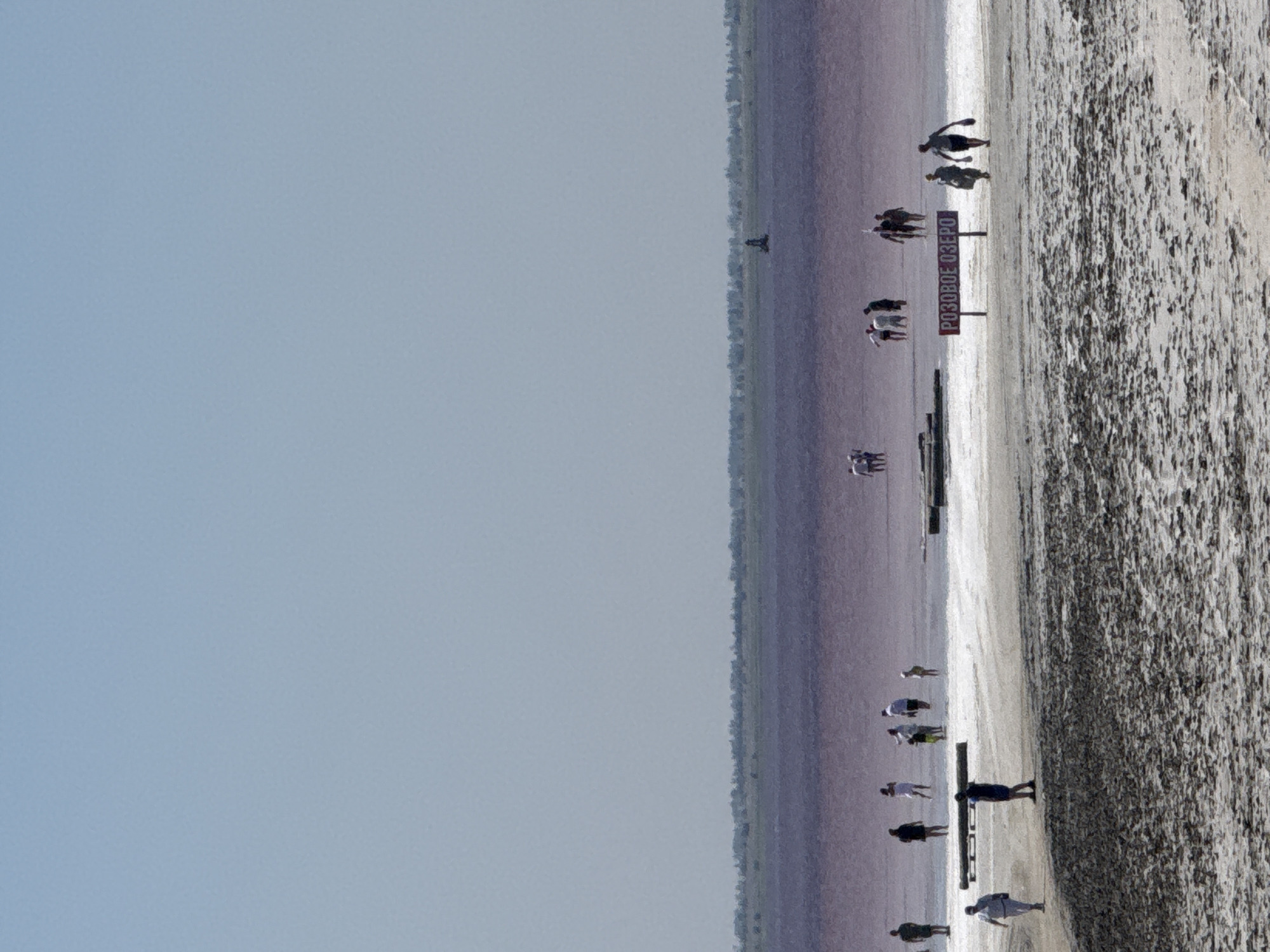 The image captures a scene at the Pink Lake in Bursol, Russia. In the foreground, a textured, light-colored surface, likely salt flats, dominates the bottom portion of the frame. A dark, uneven ground covers the very bottom edge of the image. Further back, a band of people are spread out across a lighter, sandy area. Some are walking, while others appear to be standing and observing. One individual in the mid-ground is carrying a long, dark object horizontally.

To the right of the sandy area, a red sign with white Cyrillic lettering, "РОЗОВОЕ ОЗЕРО" (Pink Lake), is prominently displayed on two posts. Several people are walking near this sign.

The middle ground is occupied by the distinctive pink waters of the lake. The water is calm and reflects the light, giving it a saturated hue. In the distance, a thin line of dark green vegetation marks the horizon, beyond which the sky is a clear, pale blue. A small, dark object, possibly a buoy or a small structure, is visible in the pink water in the far distance. The overall impression is of a natural attraction on a clear, sunny day.