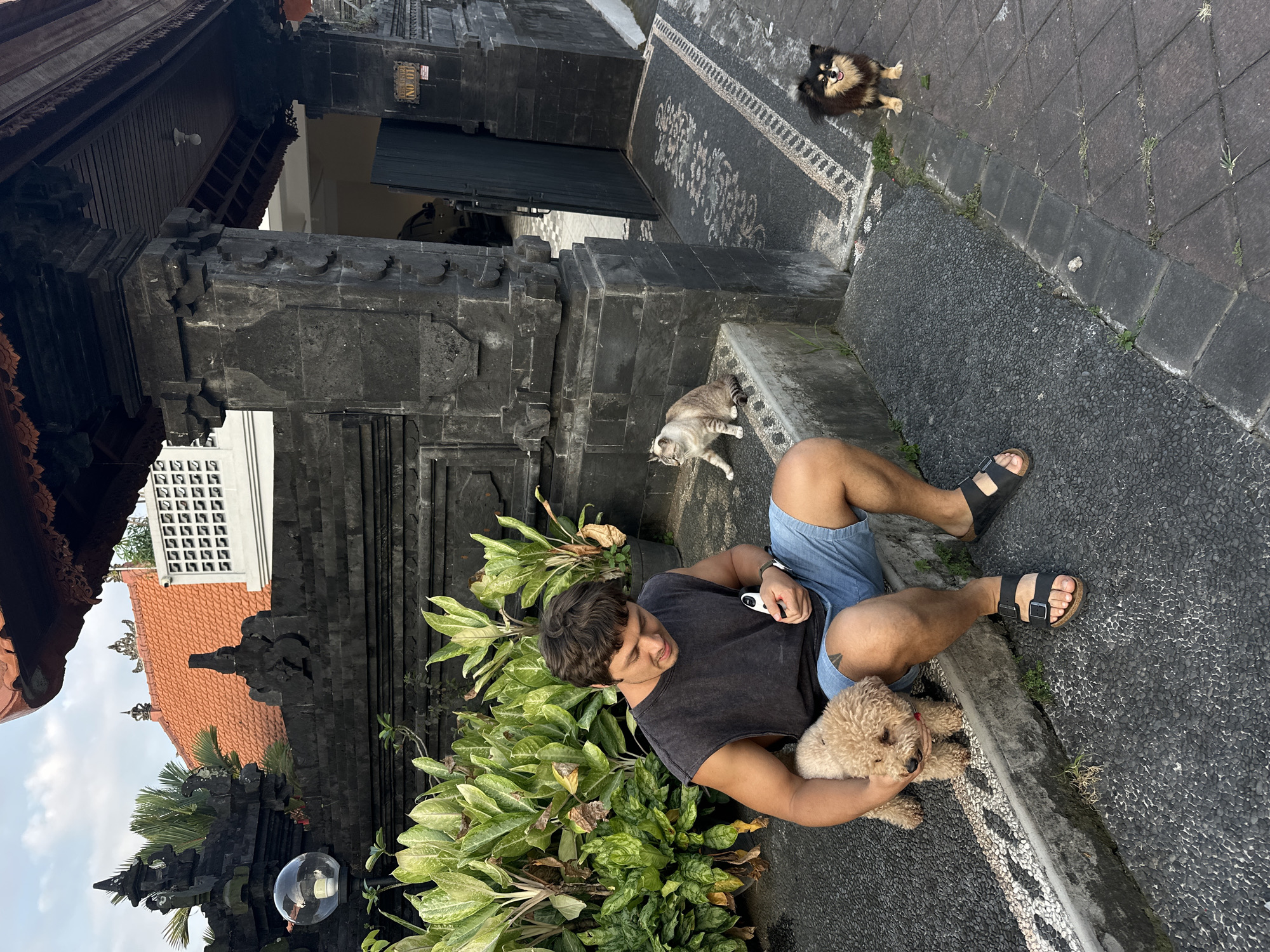 A young man with dark, curly hair sits on a stone step in front of a building with traditional Balinese architecture in North Kuta, Indonesia. He is wearing a sleeveless dark t-shirt and denim shorts, with black sandals. He holds a small, light brown poodle mix on his lap and appears to be holding a remote in his right hand. To his left, a grey and white cat sits on the step, looking to the left. Further to the right, a small, fluffy black and brown dog stands on the paved walkway, facing the viewer and smiling. The background features lush green plants, a dark stone wall with intricate carvings, and the orange-tiled roof of a building. The overall scene depicts a relaxed, outdoor setting with domestic animals.
