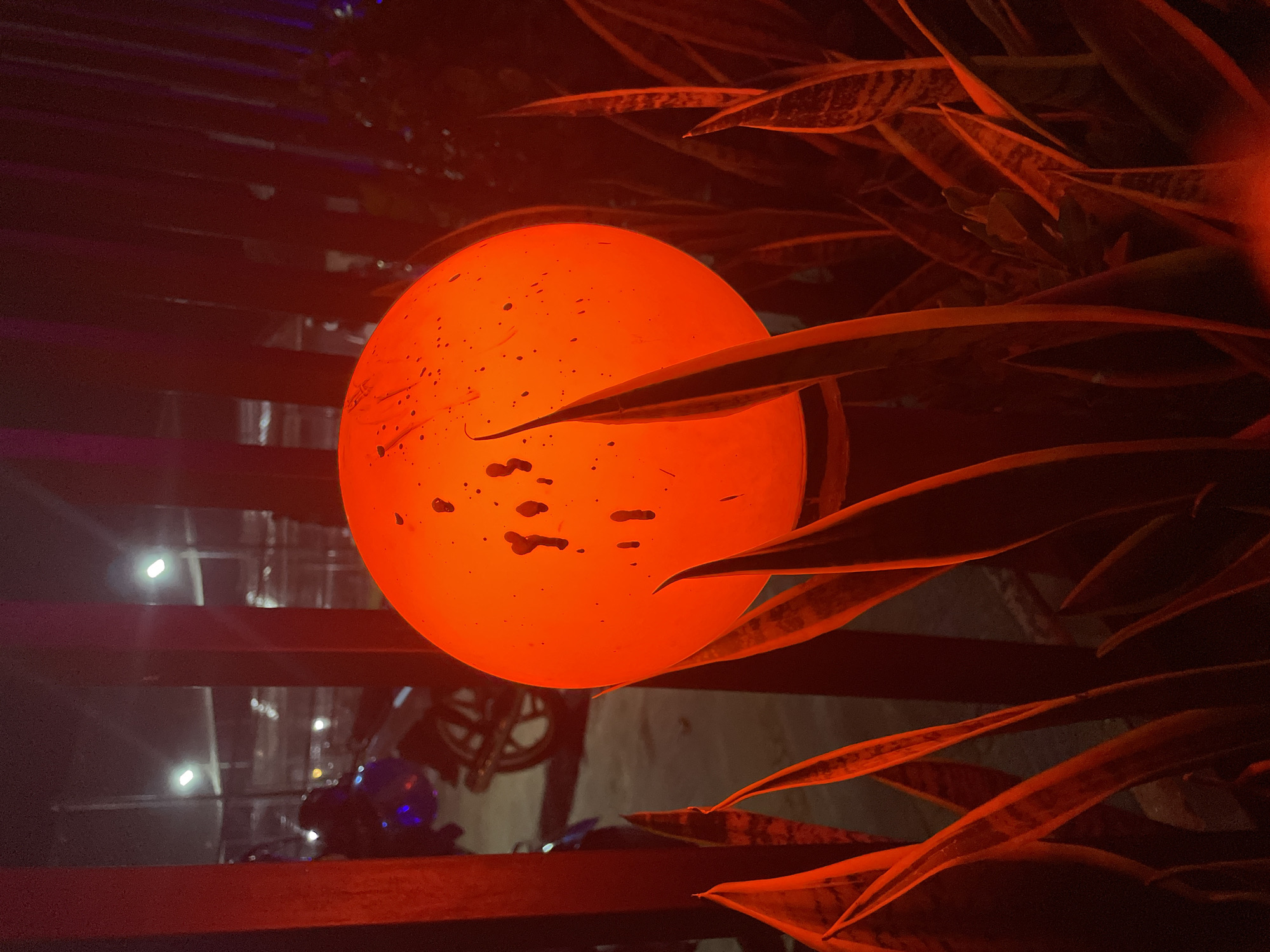A close-up, vertically oriented photograph captures a vibrant, glowing orange sphere as its central subject, illuminated against a dark background. The sphere, which appears to be a lamp or decorative orb, exhibits various speckles and irregularities on its surface, suggesting texture or internal features.
Surrounding the sphere, particularly in the foreground and extending into the background, are numerous long, pointed leaves, likely from a snake plant or similar foliage. These leaves are bathed in the intense orange light, creating rich red and deep orange hues, and some partially obscure the light source, adding depth to the composition.
In the middle ground, dark, horizontal slats or beams run across the frame, creating a layered effect and acting as a visual separator. Through these slats and in the more distant background, dimly lit objects are visible. These include blurry reflections or distant elements like part of a bicycle, specifically its handlebars and wheel, and another object emitting a distinct purplish-blue glow. Additional bright, blurry lights dot the dark background, suggesting a wider nighttime scene beyond the immediate foreground.
The scene is entirely dominated by artificial lighting, indicating it is nighttime. The strong orange and red tones, combined with the deep shadows, create a warm, inviting, and somewhat mysterious ambiance. There are no people visible, and no specific activity is taking place; the image focuses on the aesthetic arrangement of light, plant life, and structural elements. The location is Akwanga, Nigeria. No visible text is present in the image.