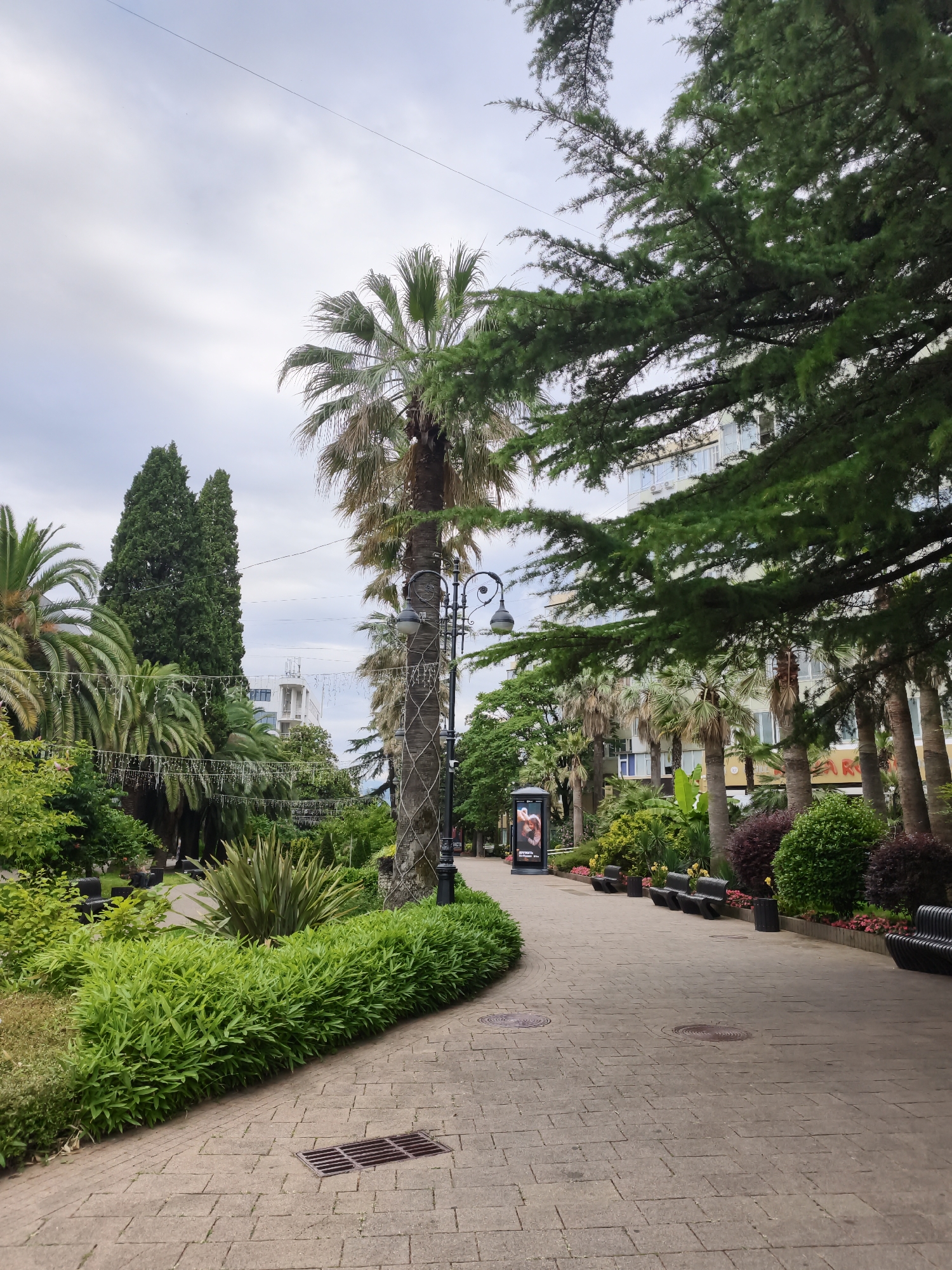 This is a photograph of a park walkway in Sochi, Russia. The walkway is paved with tan bricks and curves to the right. Lush green foliage lines the left side of the path, with a dense hedge in the foreground. Several palm trees and tall cypress trees are visible. A lamppost with two lamps stands on the right side of the path, along with a row of black benches. In the background, there is a building with multiple windows and balconies. The sky is overcast.