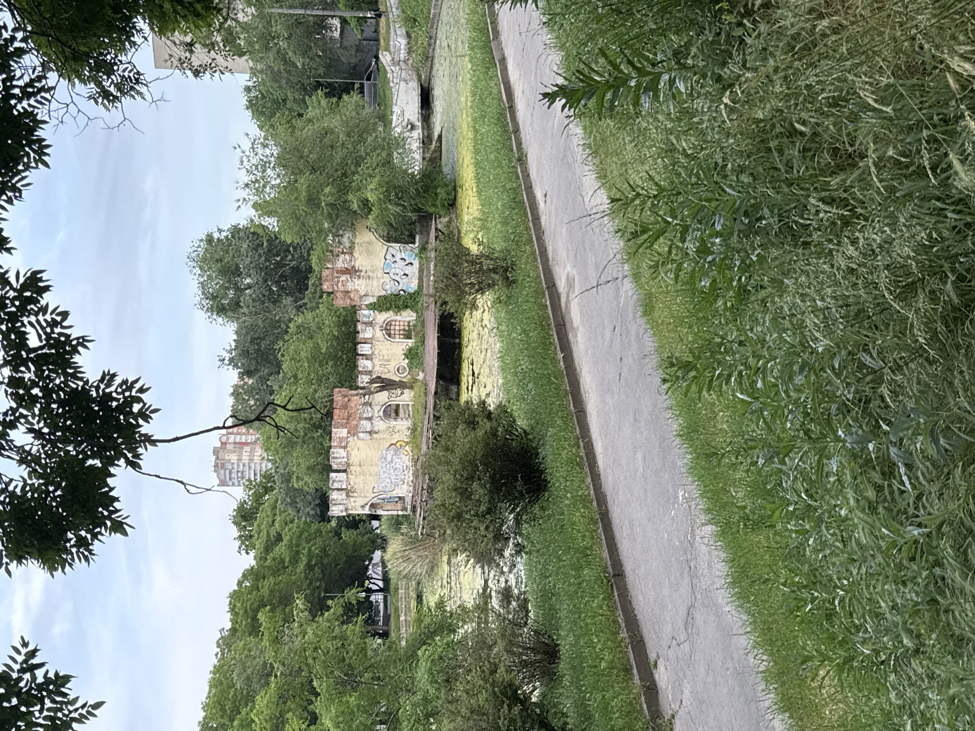 This image depicts a static outdoor scene within Shevchenko Park in Odesa, Ukraine. The central feature is a decorative, yellow-painted brick structure designed to resemble castle ruins, featuring battlements along its top, arched window openings, and visible exposed brickwork. The structure is defaced with light blue, white, and black spray-painted graffiti on its lower walls. A small, dark, possibly wooden pier or platform extends from the base of the structure into the adjacent water body.
The water body is a pond or canal, largely covered by a dense layer of green and yellowish-green algae or duckweed, indicating stagnant conditions. Surrounding the pond are various green bushes and dense tree foliage, forming a natural backdrop.
In the foreground, a grey asphalt or concrete pathway with a raised curb runs diagonally from the lower left to the mid-right. The pathway exhibits cracks and wear. Between the pathway and the pond, and extending into the lower foreground, is an unkempt area of tall green grass and weeds.
In the distant background, through a dense canopy of trees, several multi-story urban buildings are partially visible, one featuring light-colored walls with reddish-brown sections. The sky is overcast with diffuse light, suggesting a daytime scene. No individuals are present in the image.