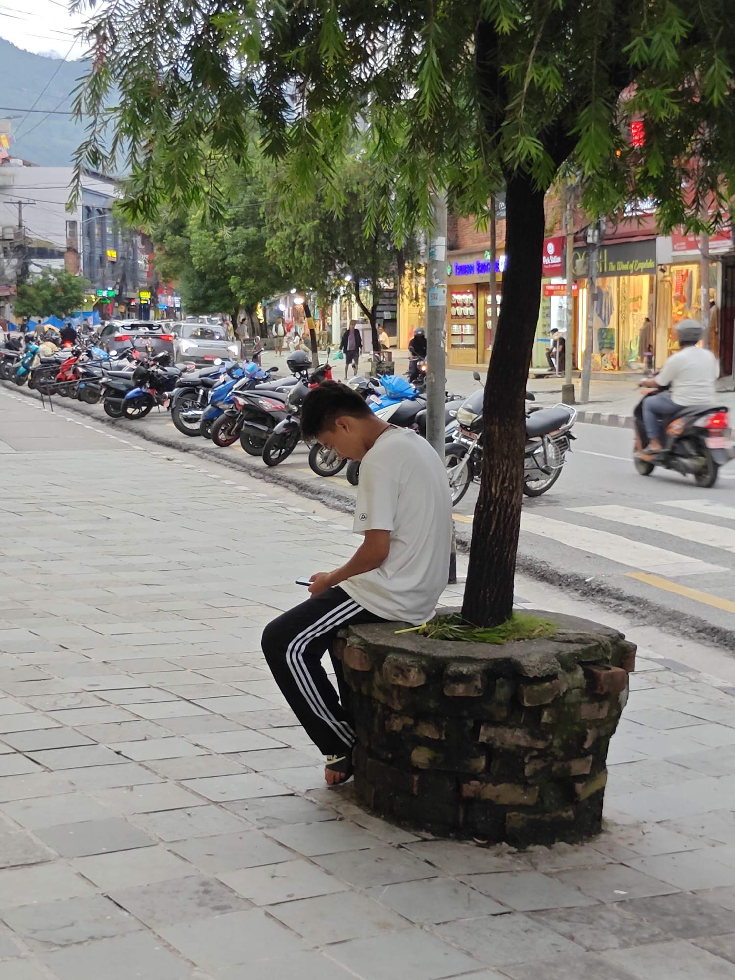 In Pokhara, Nepal, a young man is seated on a stone planter box next to a tree on a sidewalk. He is wearing a white t-shirt with black striped pants and sandals, and he is looking down at his phone. The sidewalk is paved with grey tiles. Behind him, a street is lined with shops and a row of motorcycles are parked. A pedestrian crossing is visible on the street, and a person on a motorcycle is passing by. The scene appears to be in the evening, with some artificial lights on in the shops.