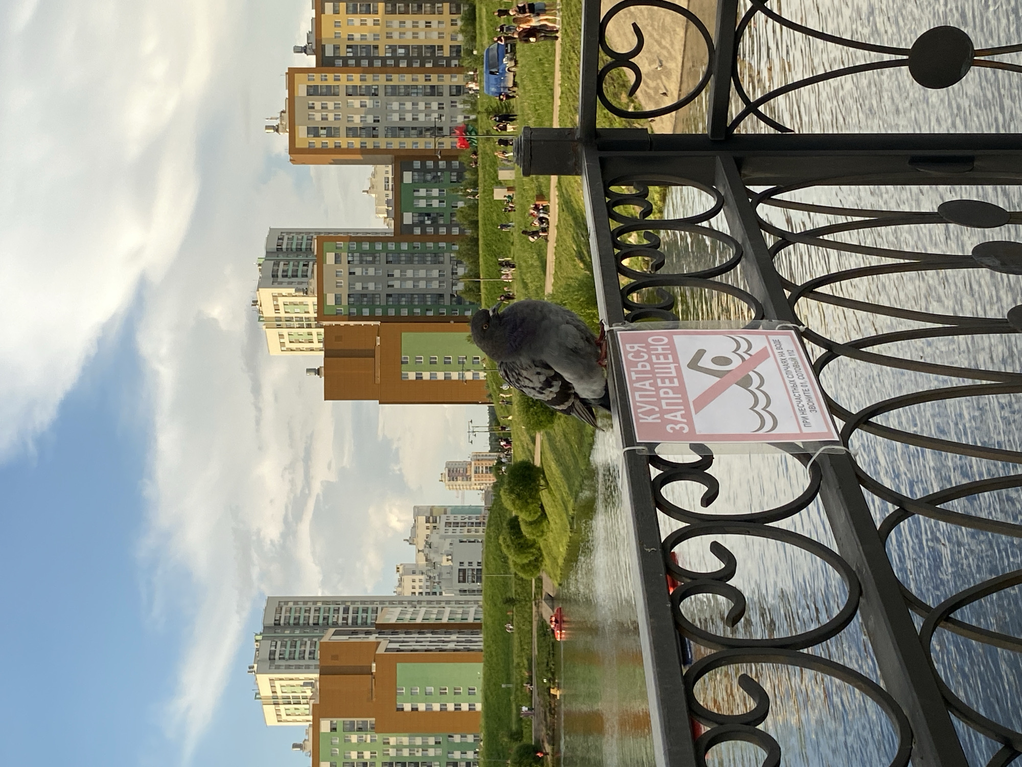 The image depicts a pigeon perched on a black metal fence overlooking a body of water. In the background, several modern residential buildings with colorful facades and a grassy embankment with people walking and sitting are visible. The sky is partly cloudy. A sign on the fence reads "КУПАТЬСЯ ЗАПРЕЩЕНО" (SWIMMING IS PROHIBITED). This scene is characteristic of the Yekaterinburg-City district in Yekaterinburg, Russia, specifically the area around the Iset River embankment. The residential buildings are part of new developments that have transformed the urban landscape of this district. The pigeon, a common urban bird, serves as a focal point in the foreground, while the background showcases the vibrant, contemporary architecture and recreational activities of the city.