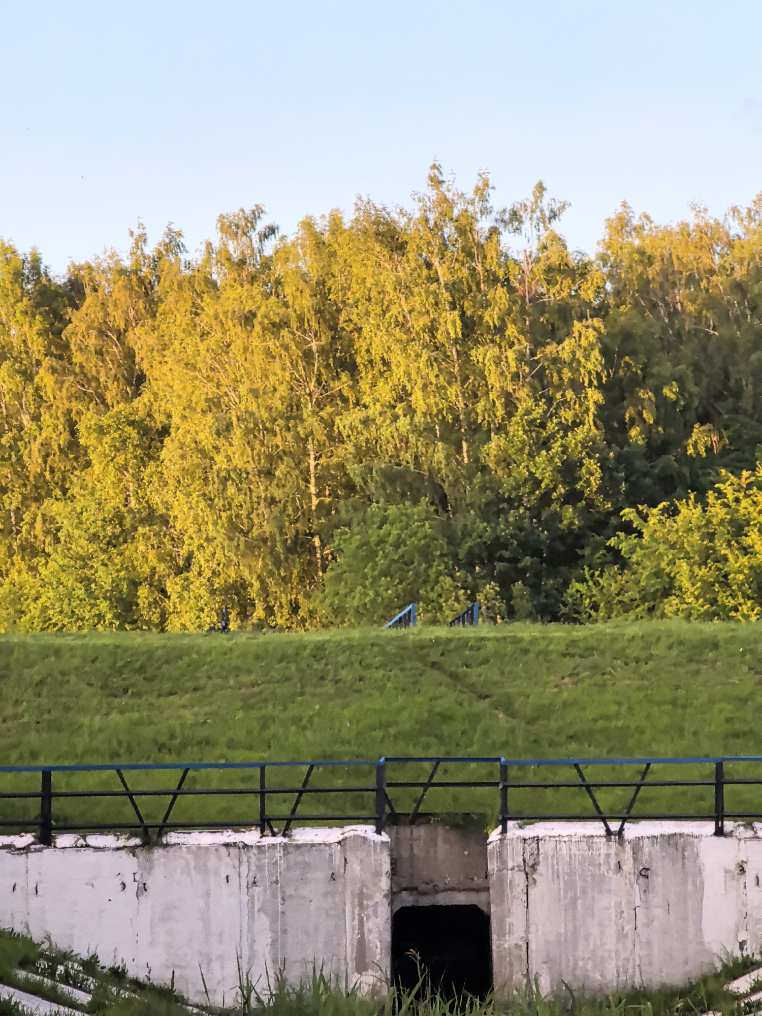 A wide shot shows a grassy slope leading up to a dense line of trees. The trees are a mix of bright yellow-green and dark green, with some white trunks visible. The sky above is a pale blue. A dark metal fence with a blue top rail runs horizontally across the lower part of the image, separating the grassy slope from a concrete structure. This concrete structure has a rectangular opening leading into darkness. The scene appears to be an outdoor environment, possibly a park or natural area on the outskirts of a city.