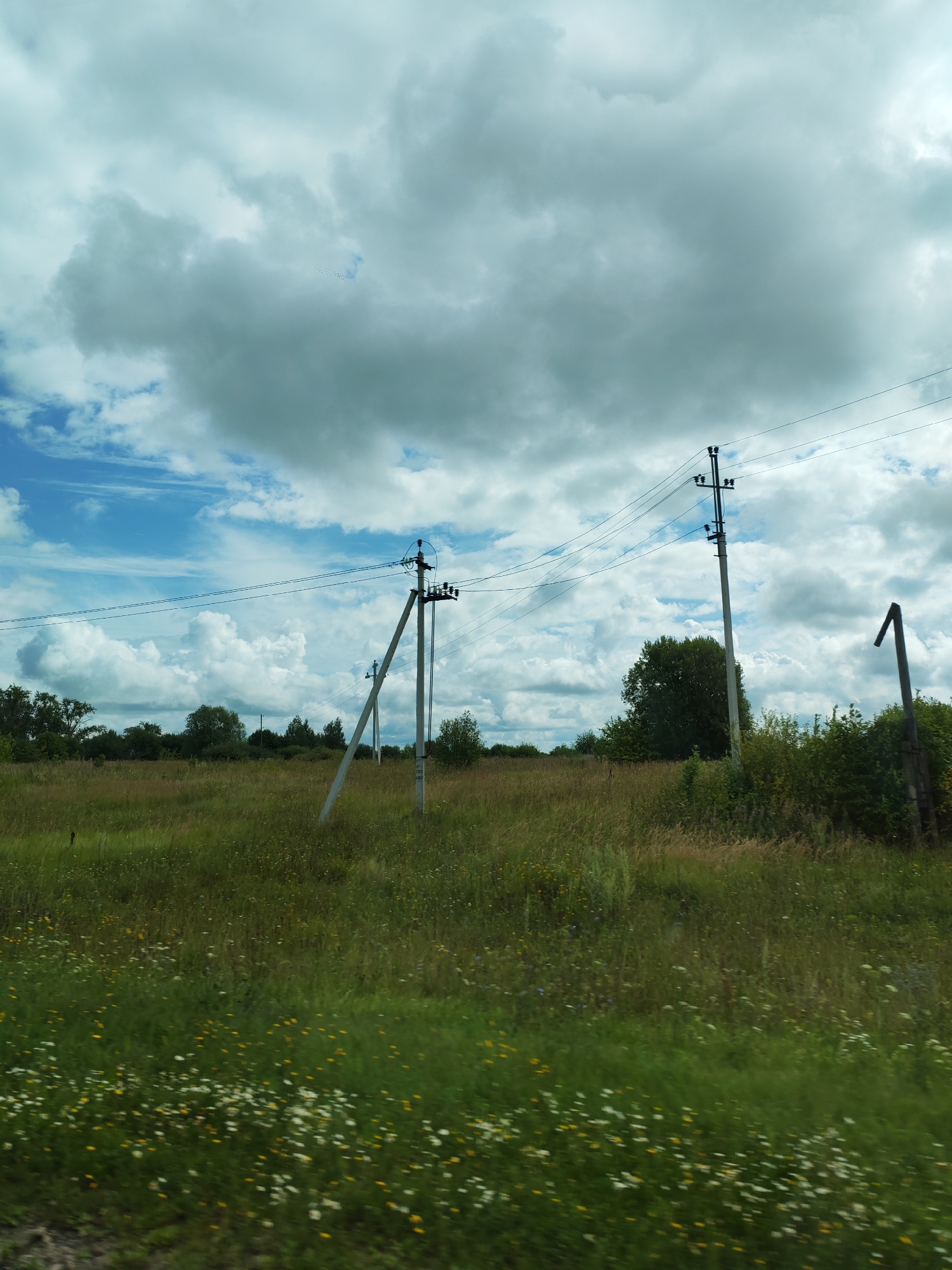 A rural landscape is depicted in this image, likely taken from a moving vehicle, as evidenced by the motion blur in the foreground. The scene features a field of tall, green grass dotted with small white and yellow wildflowers. In the middle ground, two concrete power line poles stand tall, supporting electrical wires. Behind the poles, a dense line of trees forms a dark green backdrop against a cloudy sky. The sky itself is a mix of light blue patches and large, heavy grey clouds, suggesting an overcast or partly cloudy day. The overall impression is one of a natural, undeveloped area with functional, yet unobtrusive, man-made infrastructure. The location is identified as Medvezh'ya Polyana, Russia.